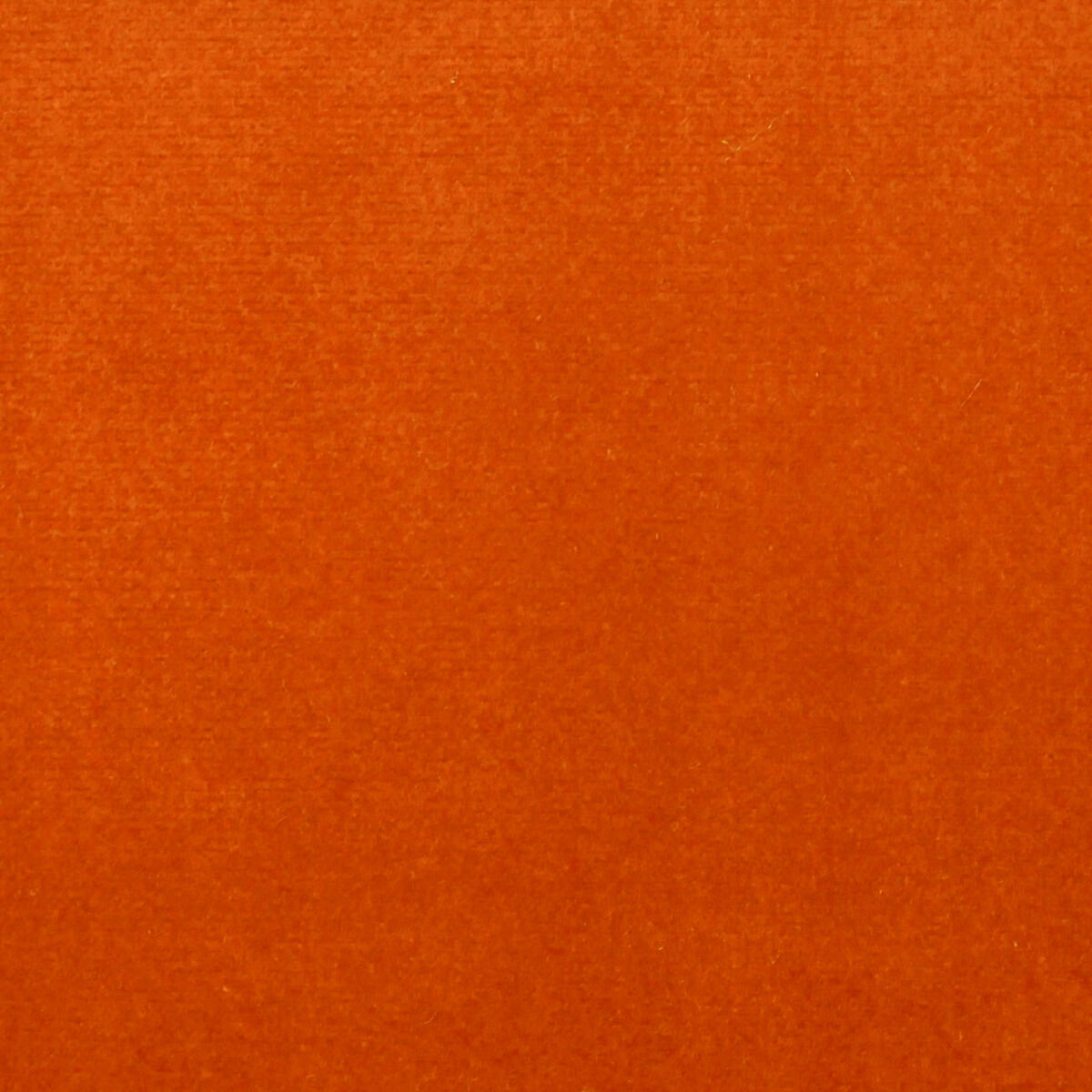 Como Velvet - Orange    Nc15