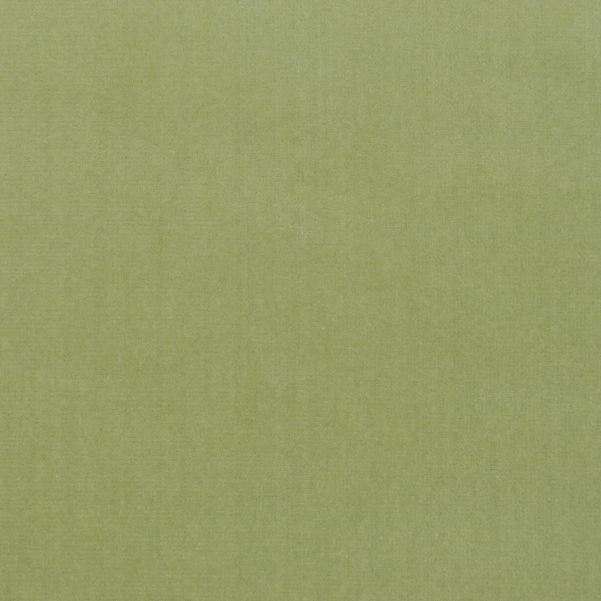 Como Velvet - Celery    Nc15