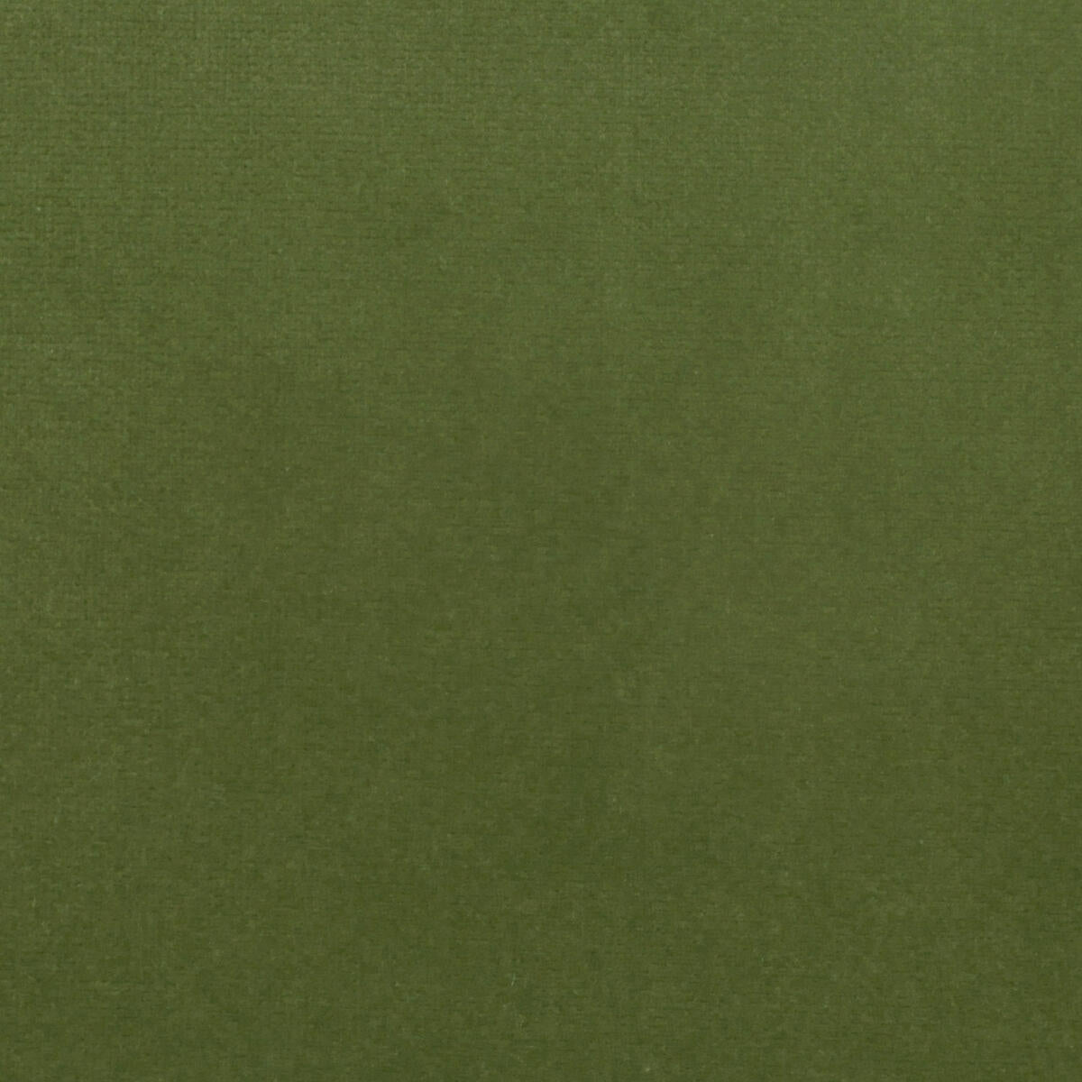 Como Velvet - Forest    Nc15