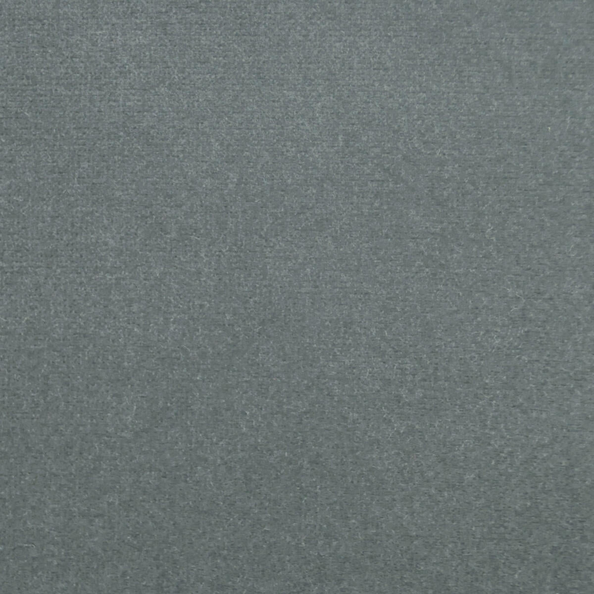 Como Velvet - Grey      Nc15