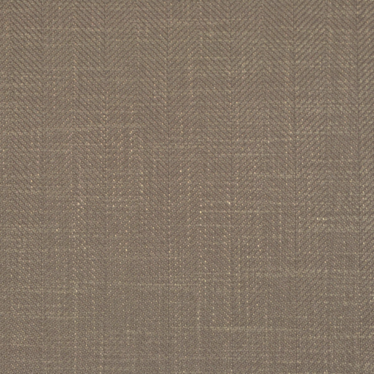 Coventry Chevron - Taupe
