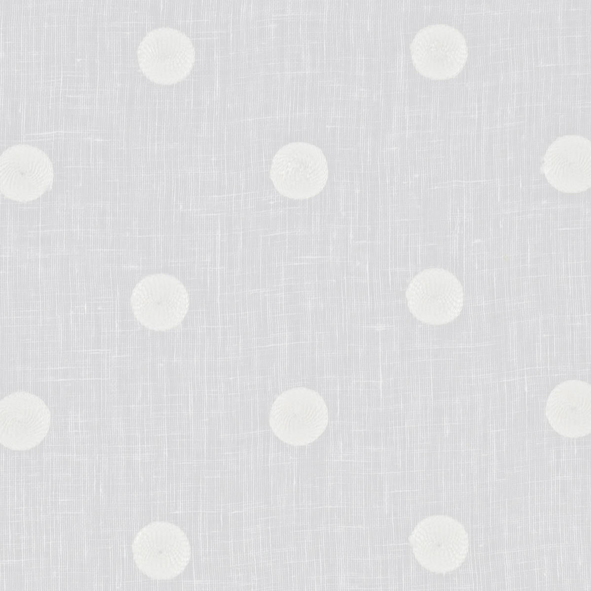 Circinus - Winter White