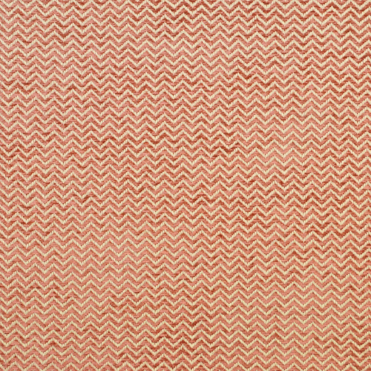 Serendipity - Salmon