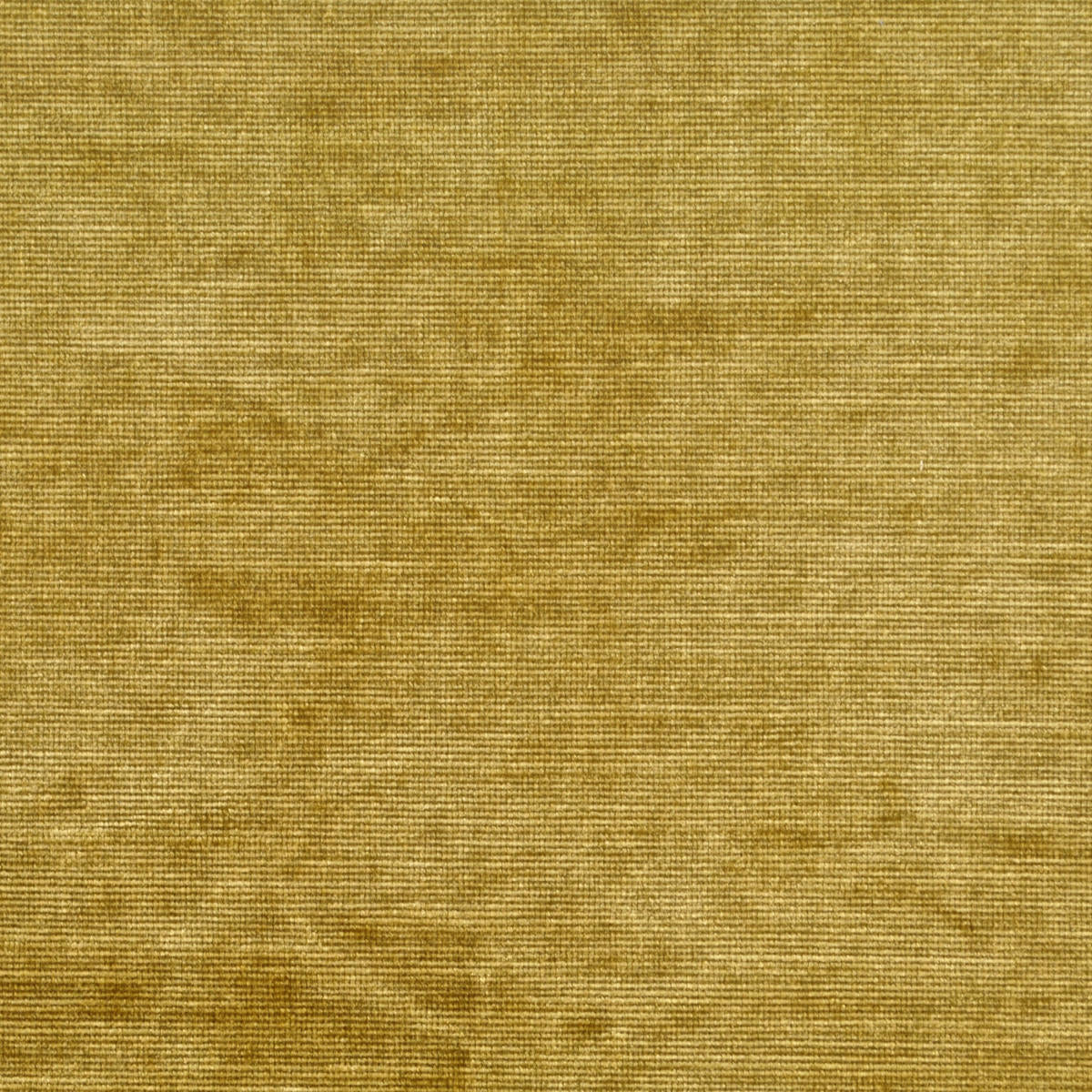 Aida Velvet - Antique Gold