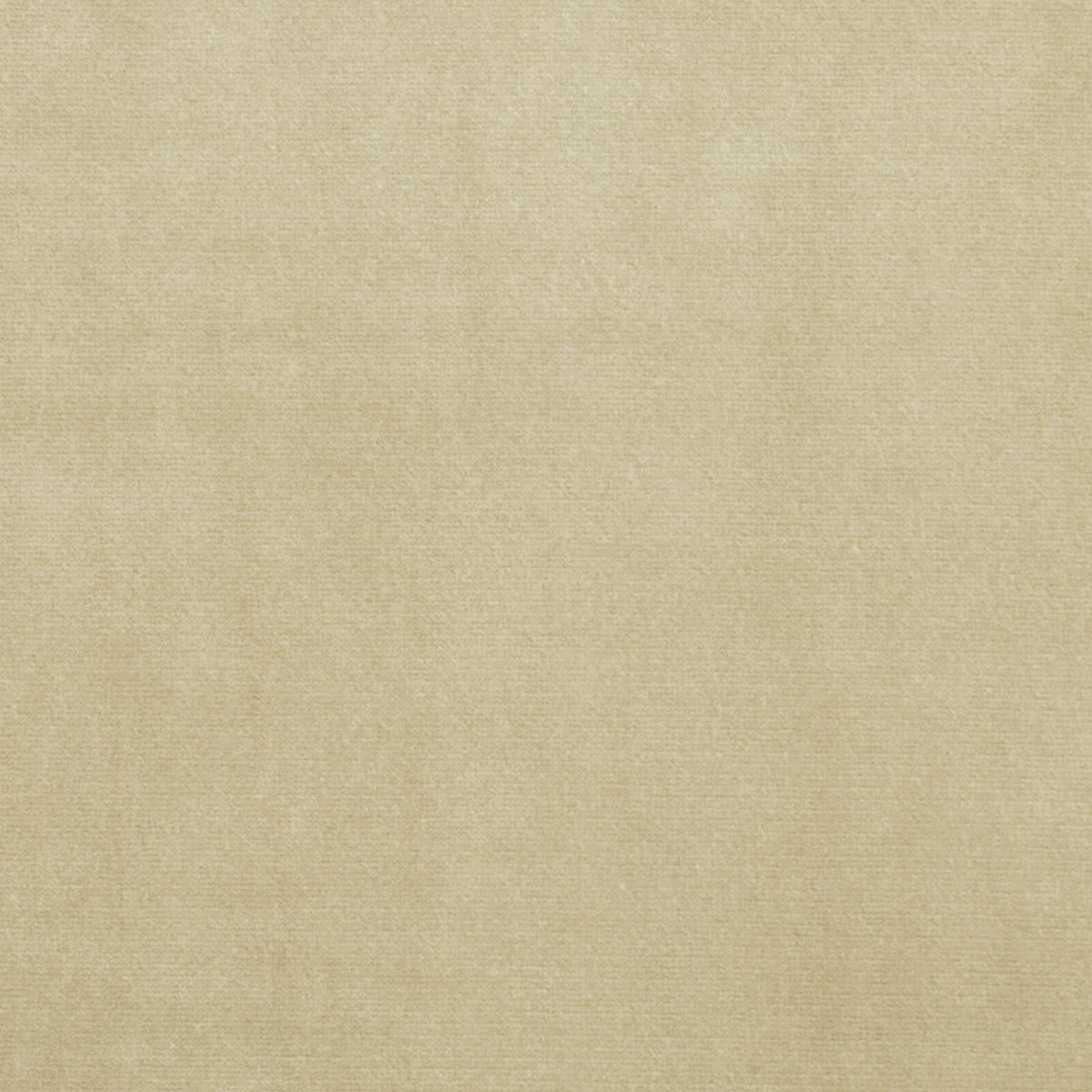 Milano Velvet - Ecru