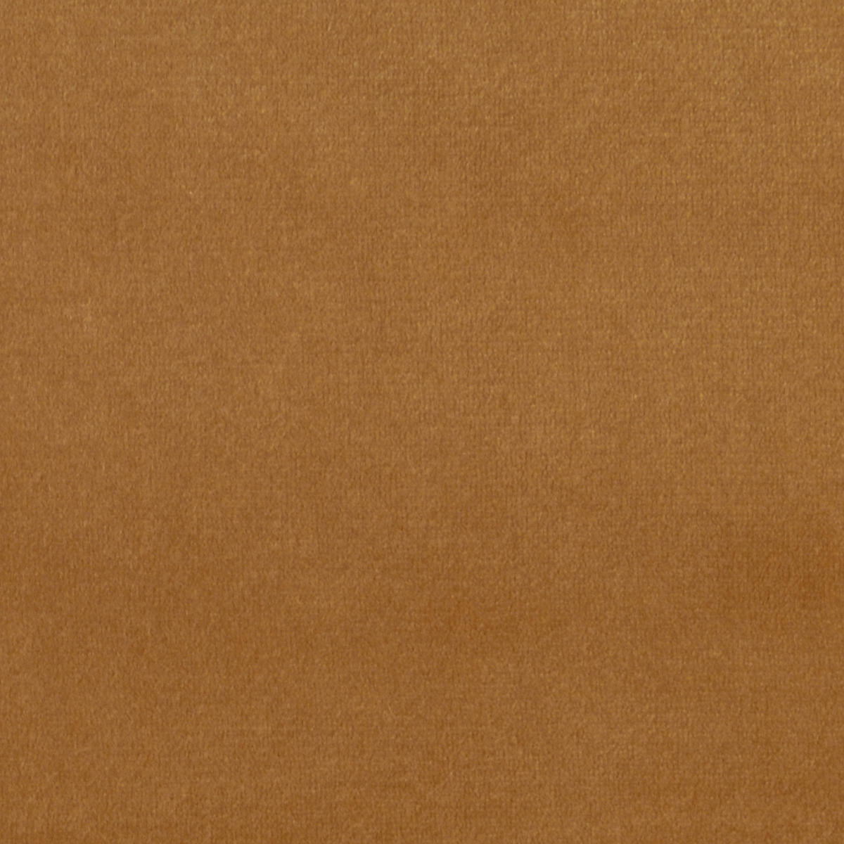 Milano Velvet - Beige