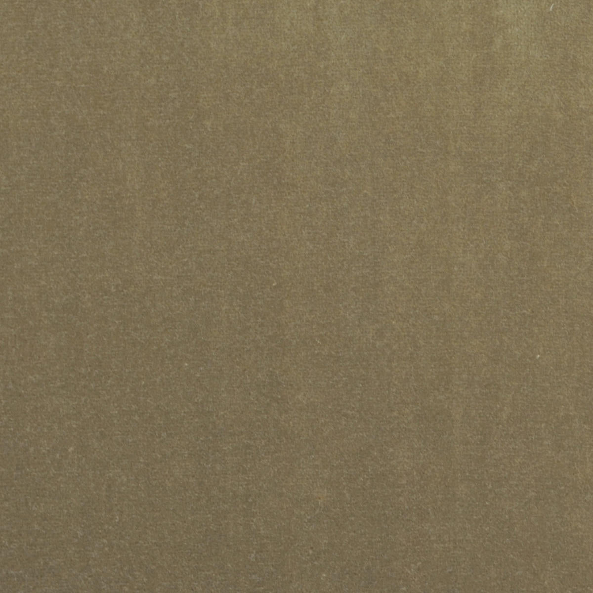 Milano Velvet - Taupe