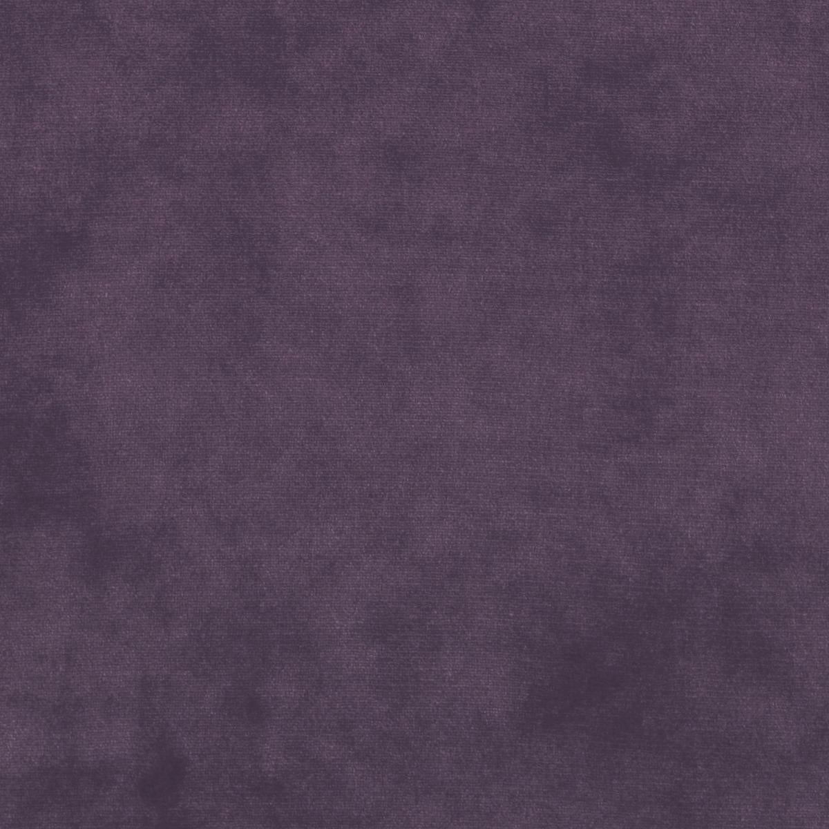 Milano Velvet - Violet