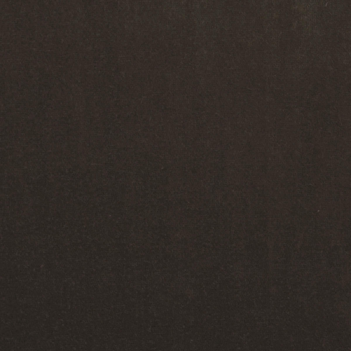 Milano Velvet - Raisin