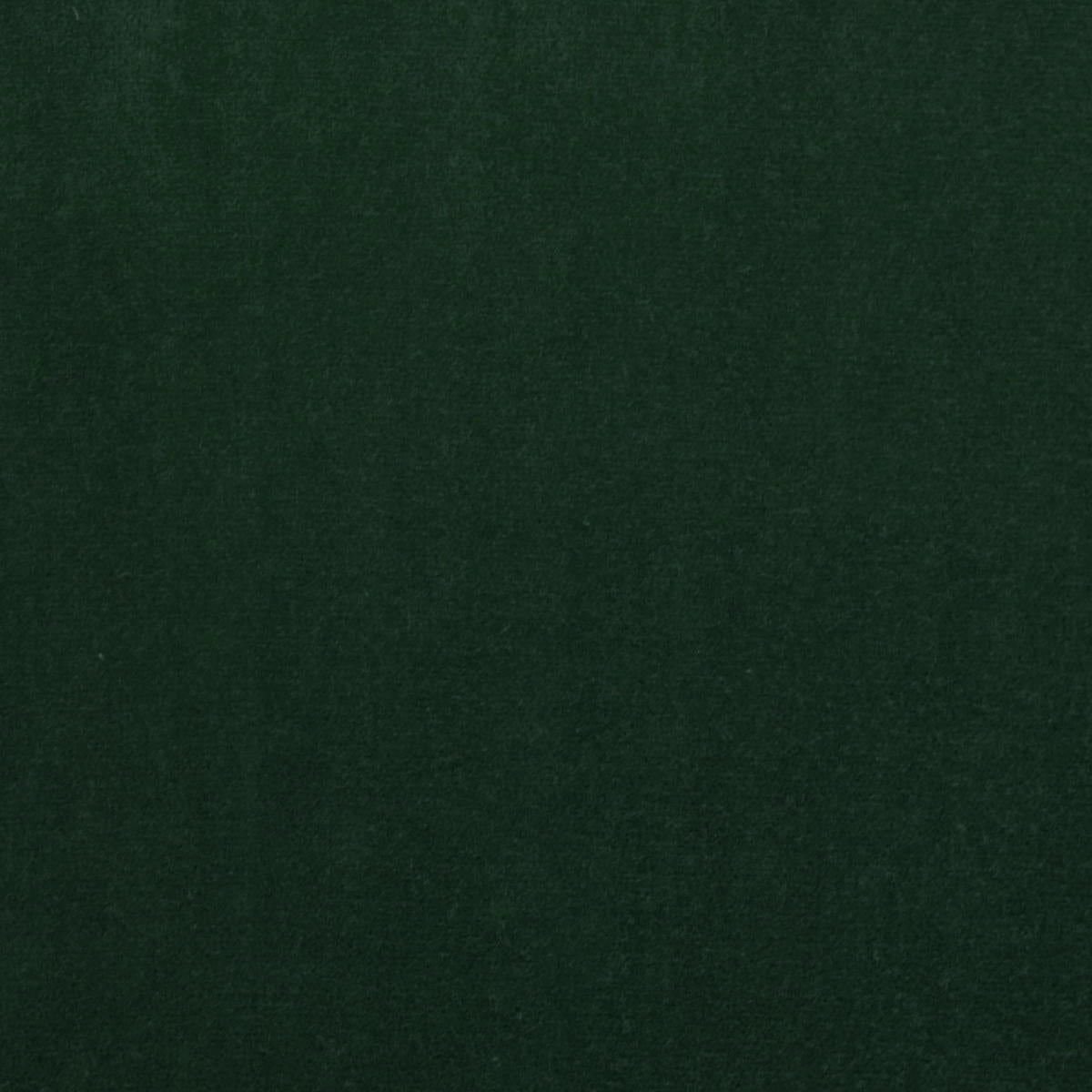 Milano Velvet - Pine