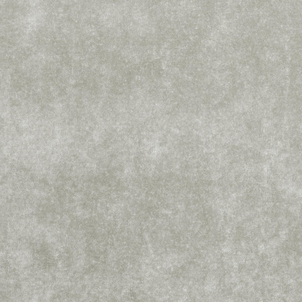 Borgia Velvet - Platinum