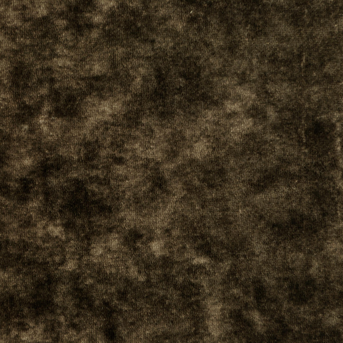 Borgia Velvet - Espresso