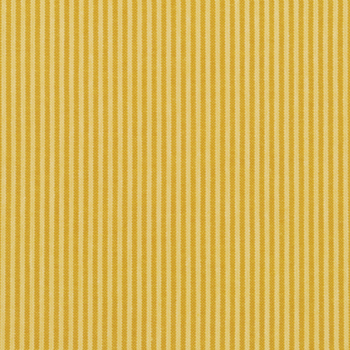 New Leighton - Sunflower