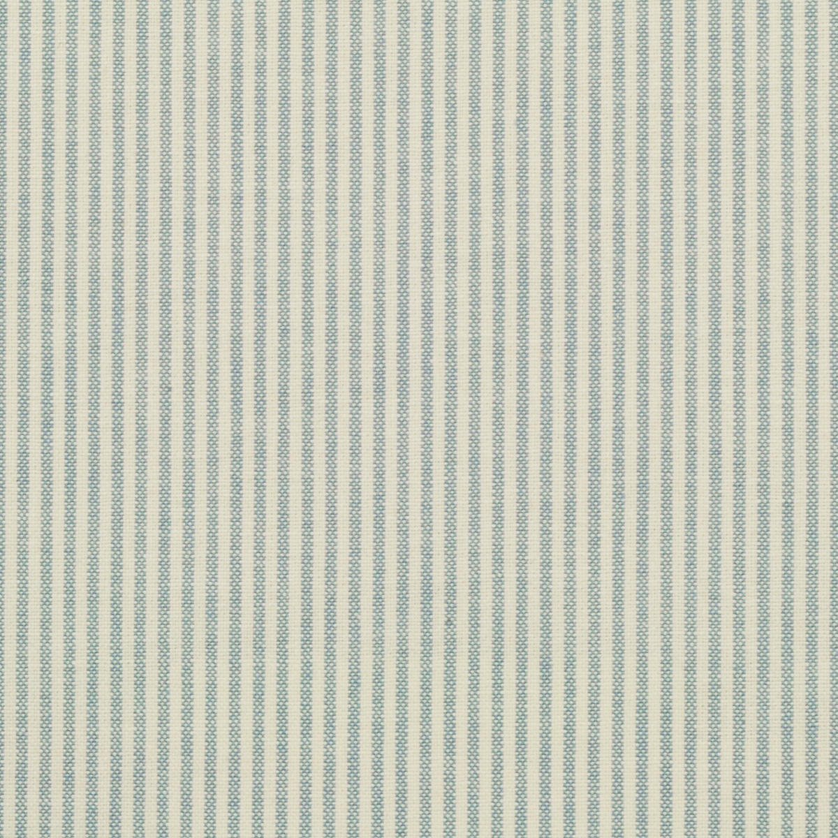 New Leighton - Cornflower