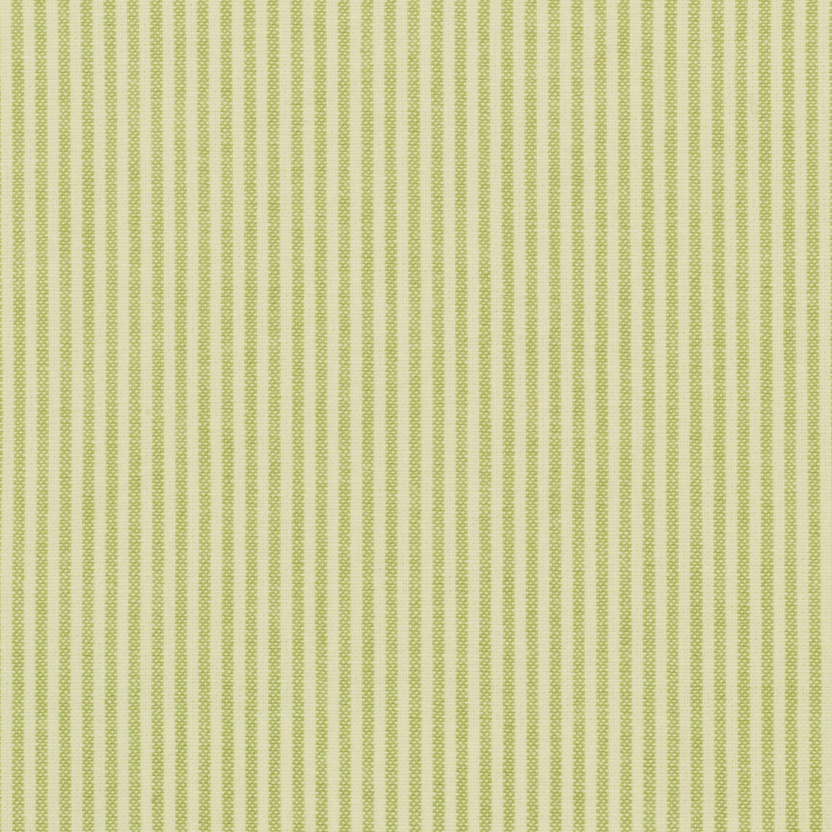 New Leighton - Celery