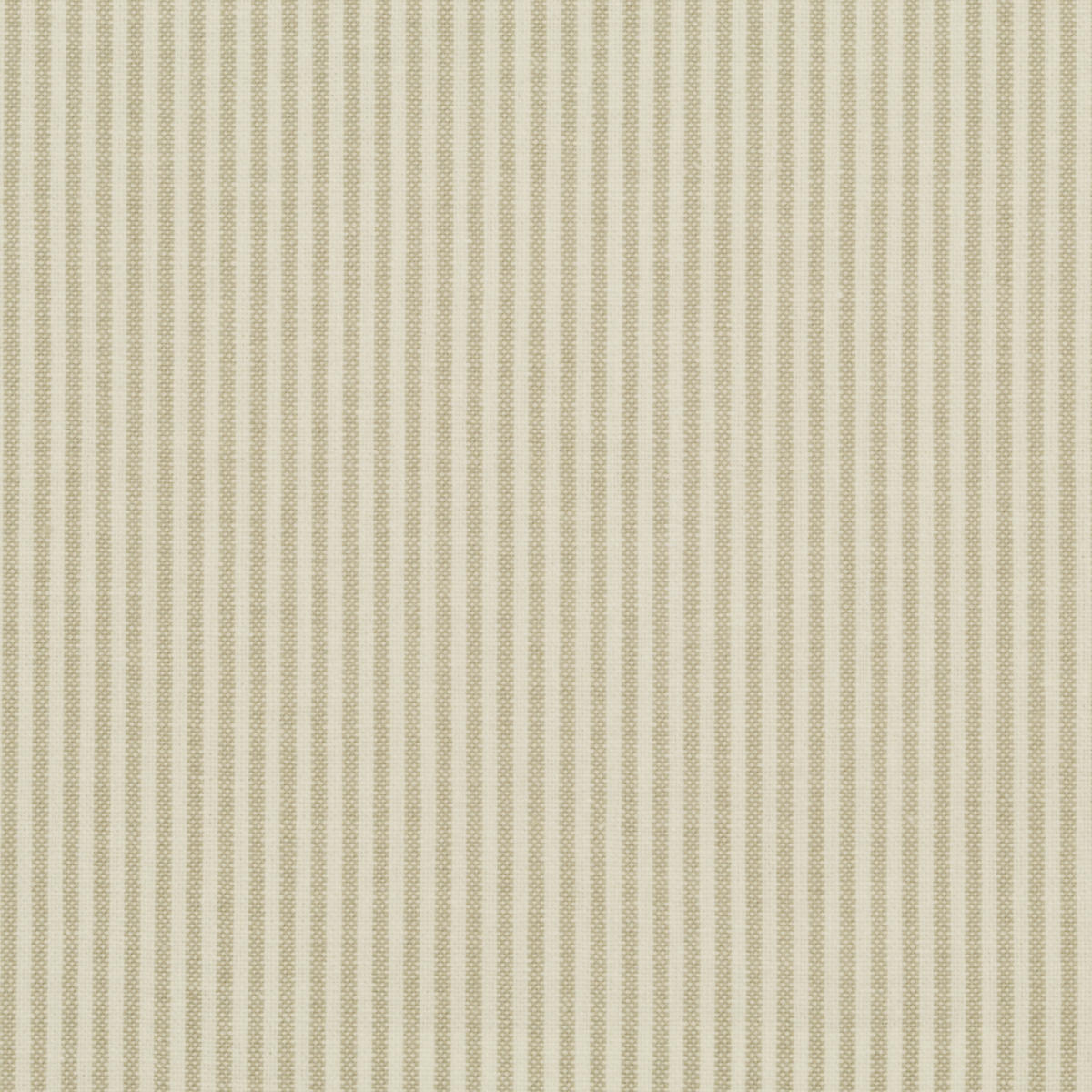 New Leighton - Macadamia