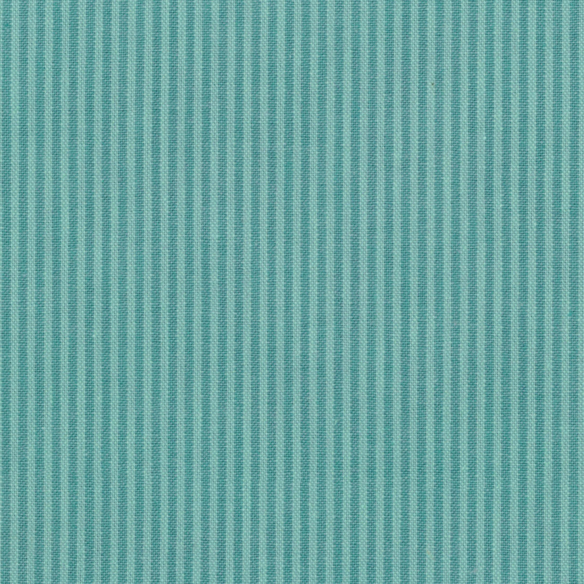 New Leighton - Calypso