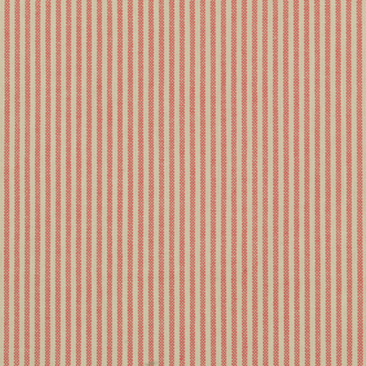 New Leighton - Rhubarb