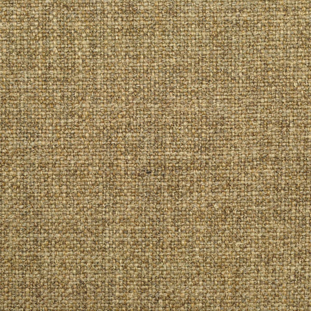 Alistair - Chocolate