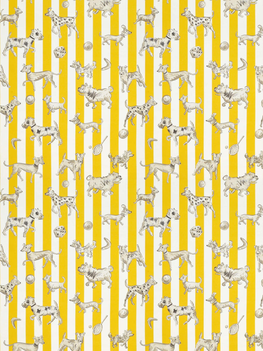 Tour De Chiens - Sunflower