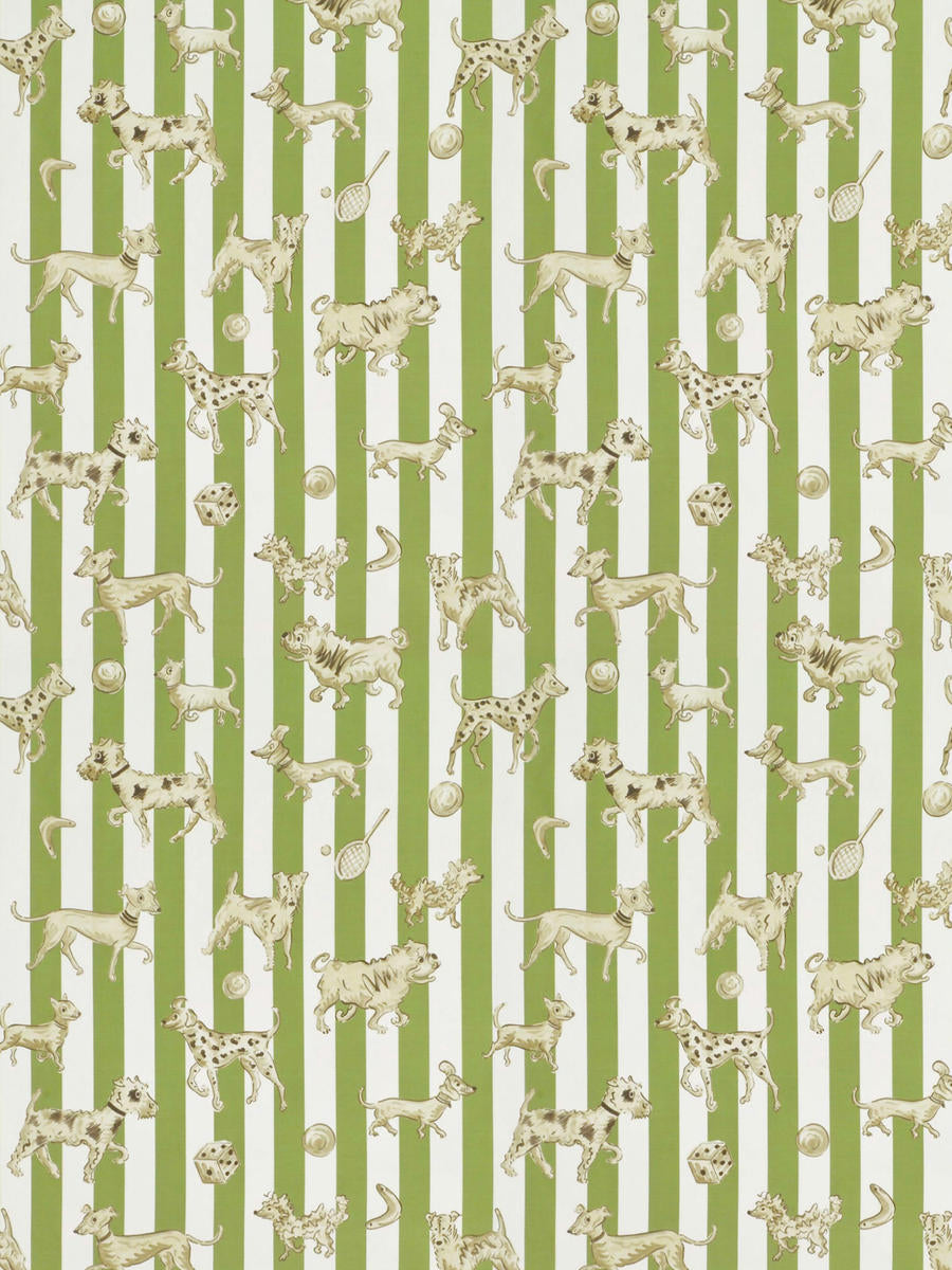 Tour De Chiens - Sage