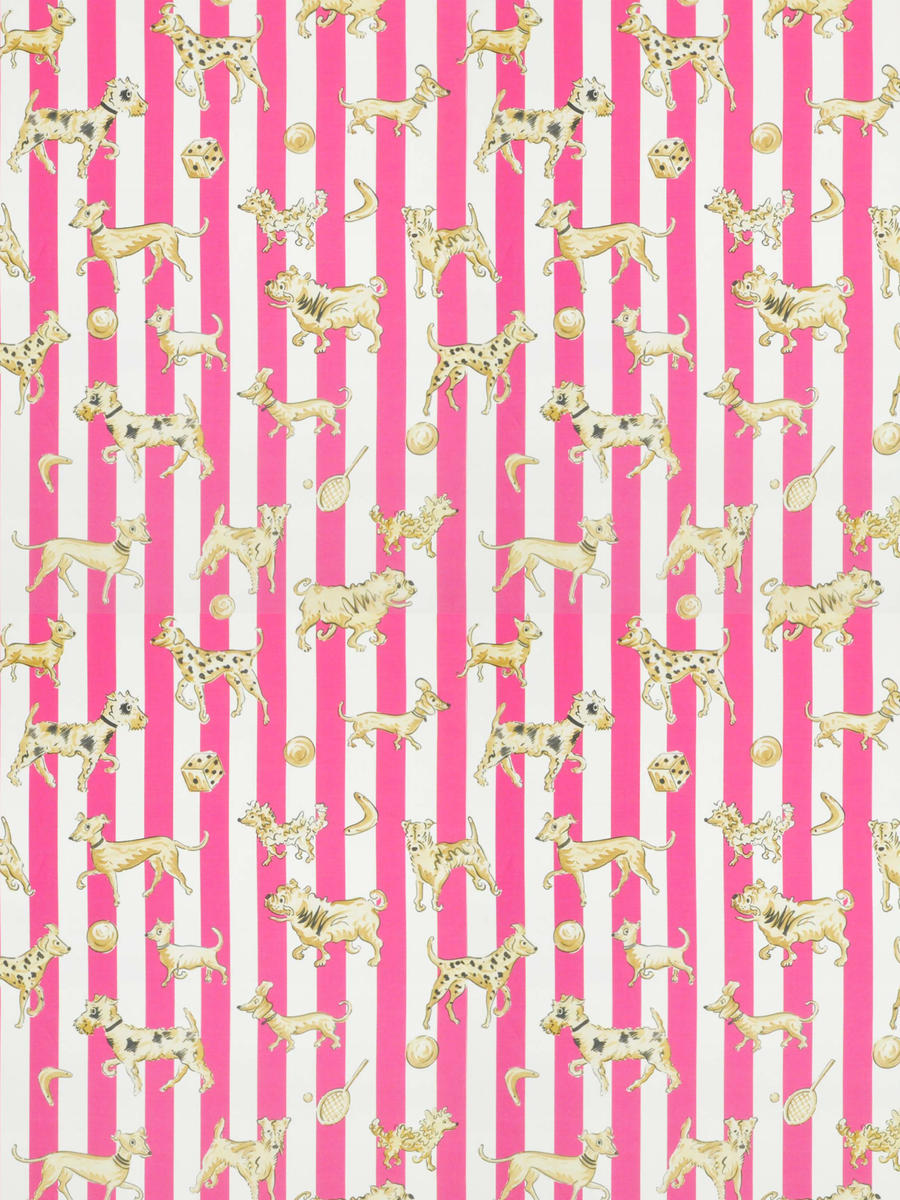 Tour De Chiens - Raspberry