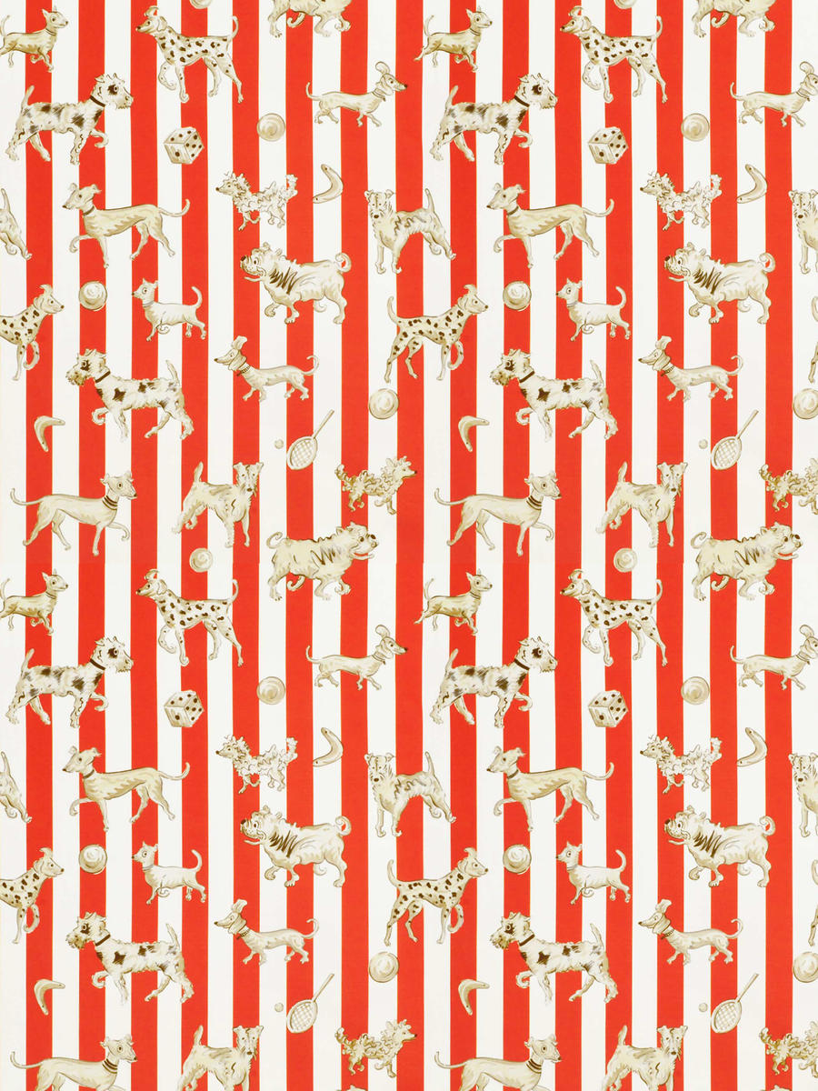 Tour De Chiens - Cherry