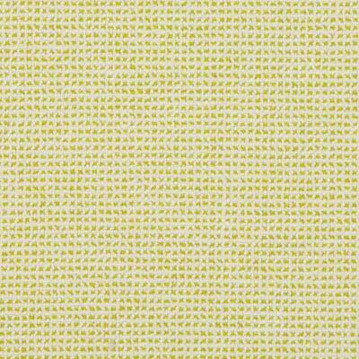 Palm Beach Grid - Lime
