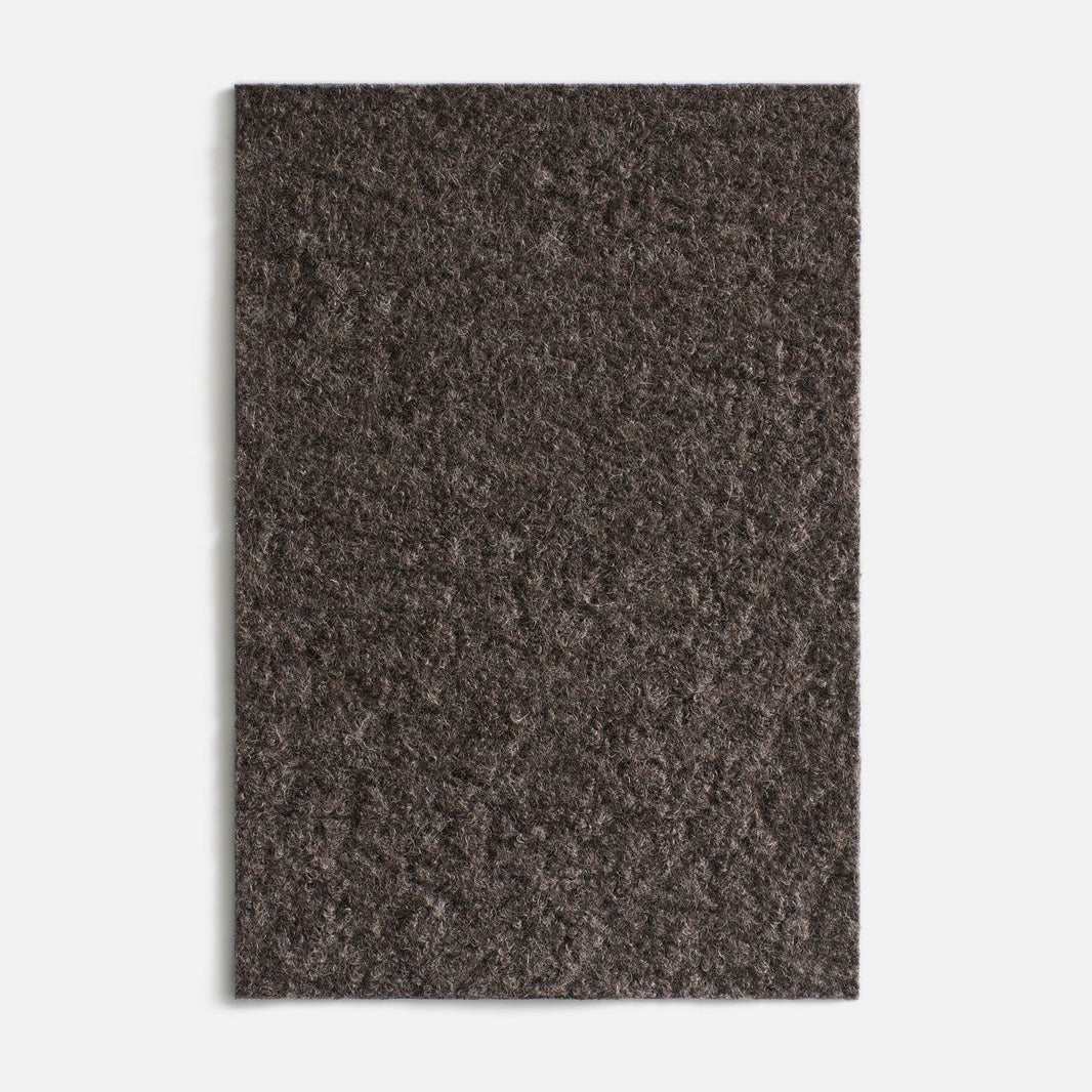 Alpakhan - Orso Bruno