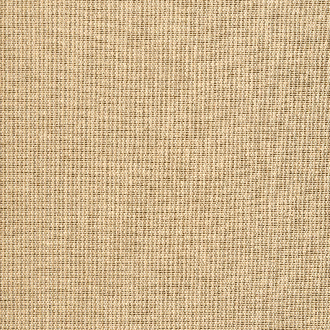 Didgeridoo Wall - Paglia