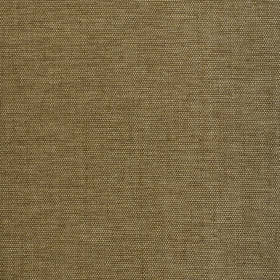 Didgeridoo Wall - Giunco