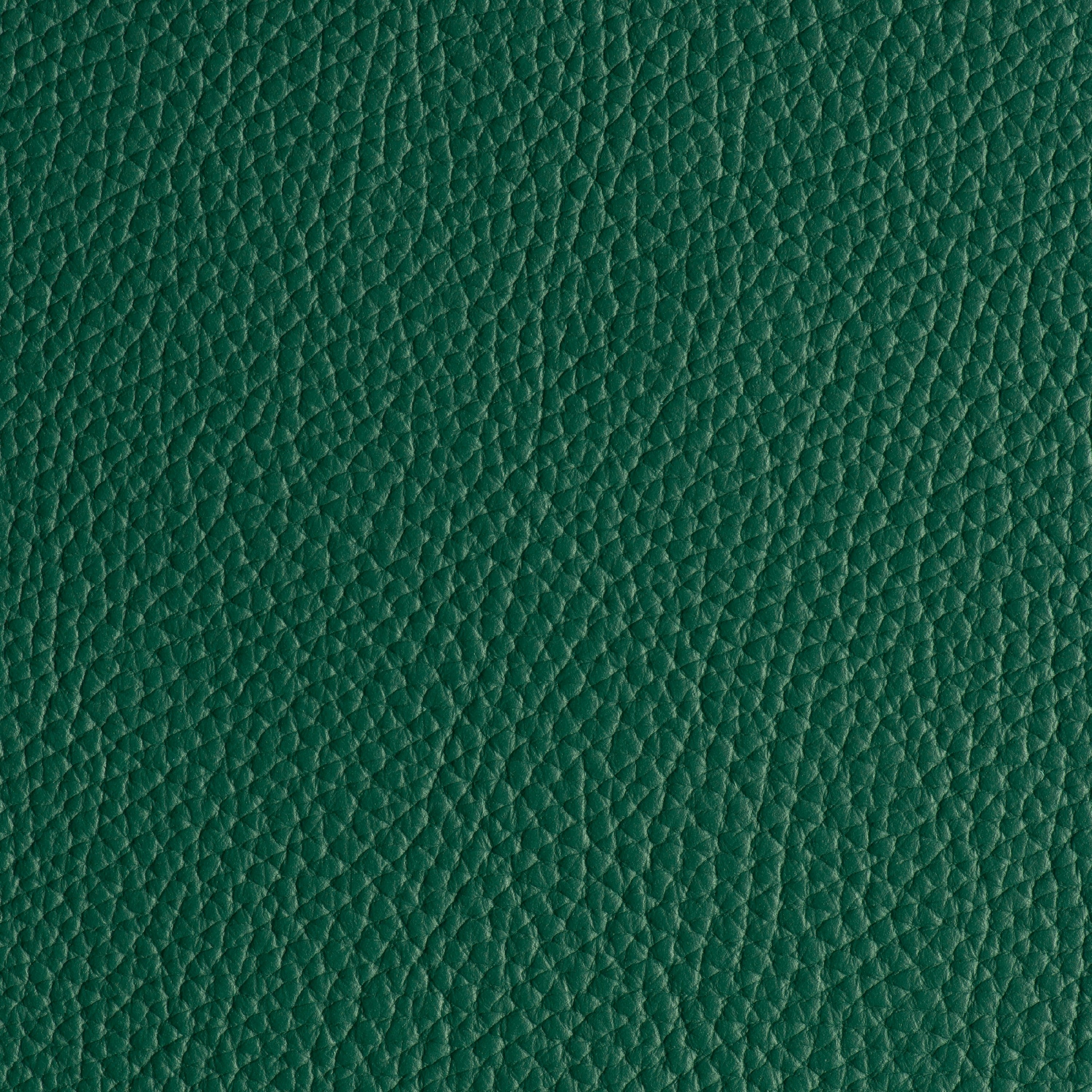 LIKE NO UDDER - MERMAID