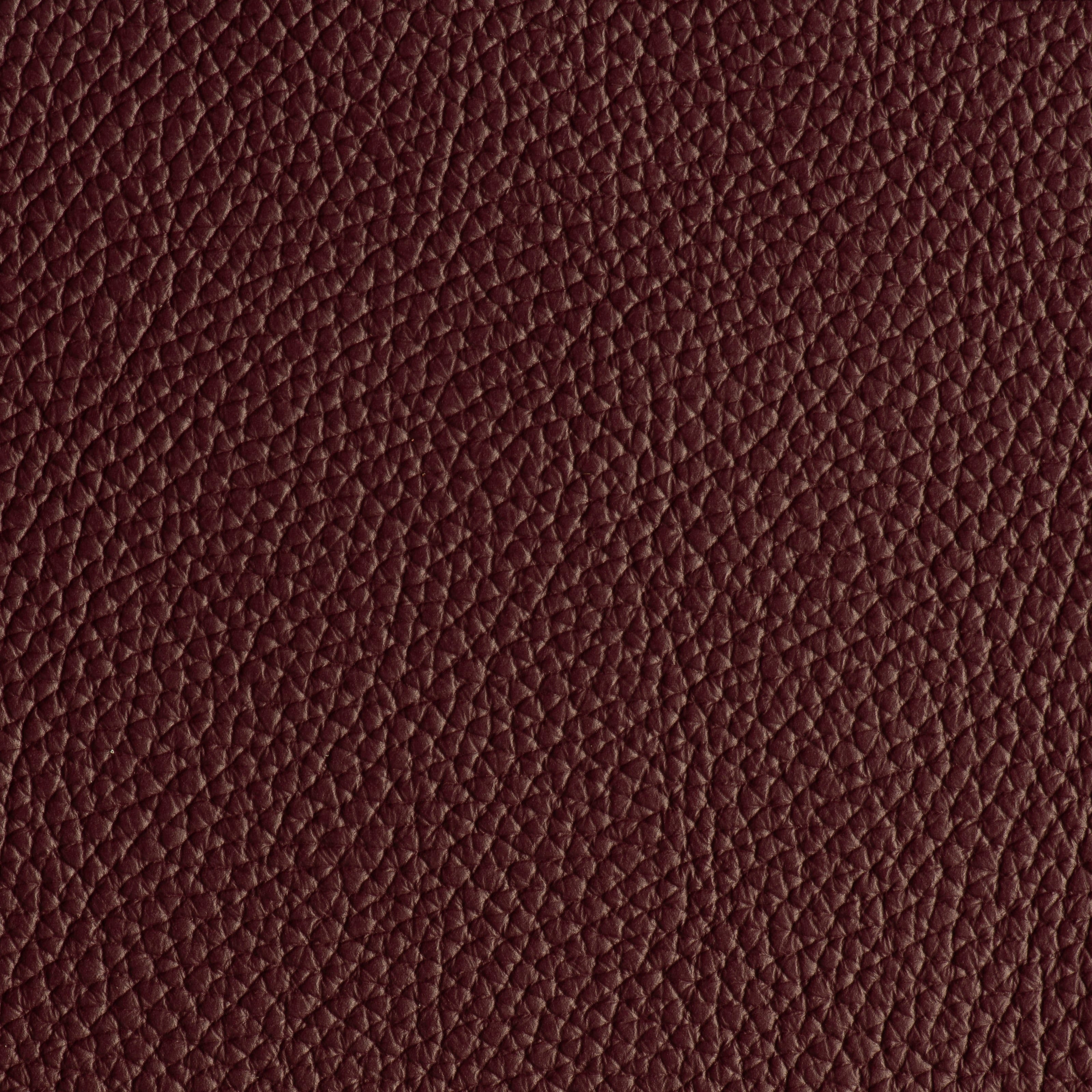 LIKE NO UDDER - RAISIN