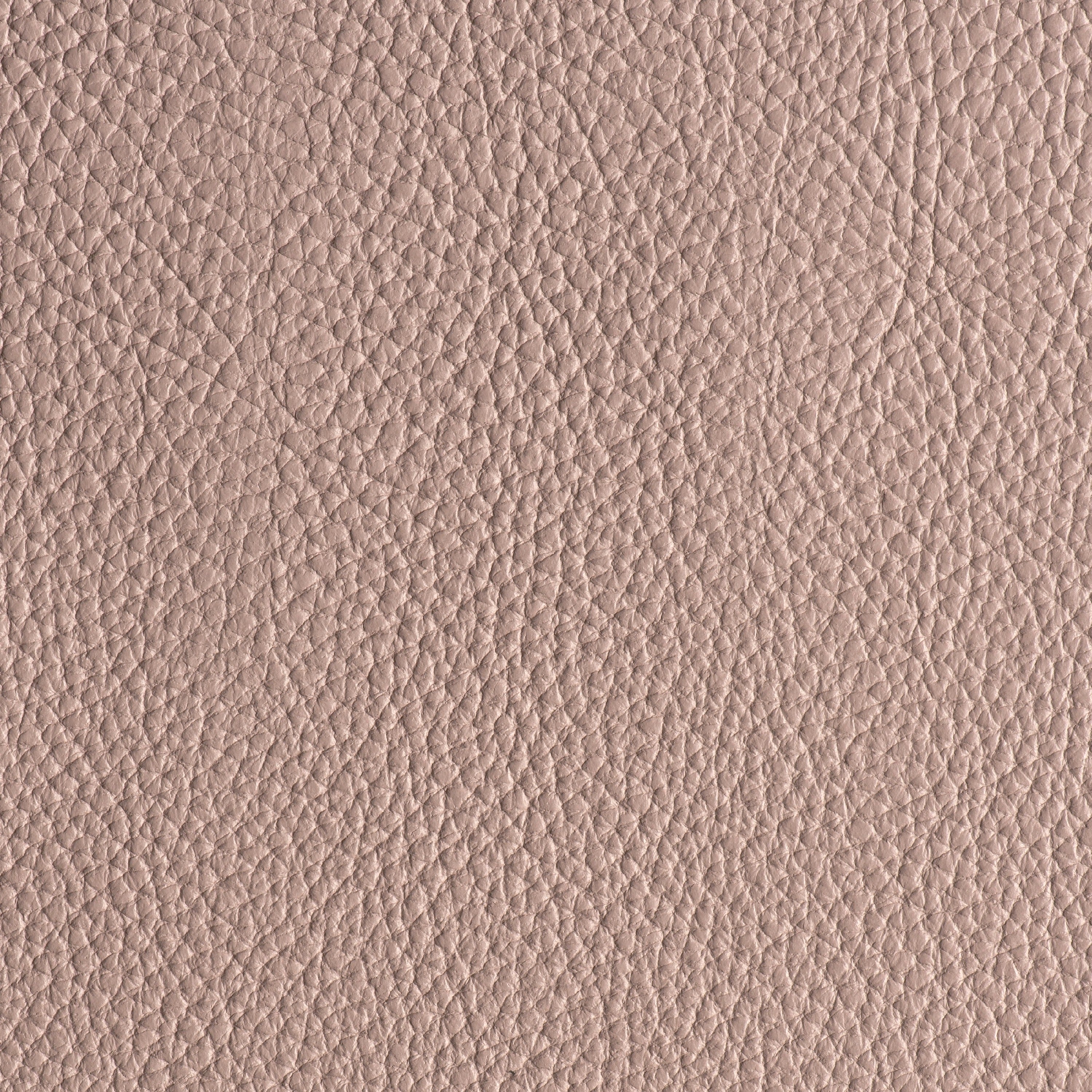 LIKE NO UDDER - DESERT