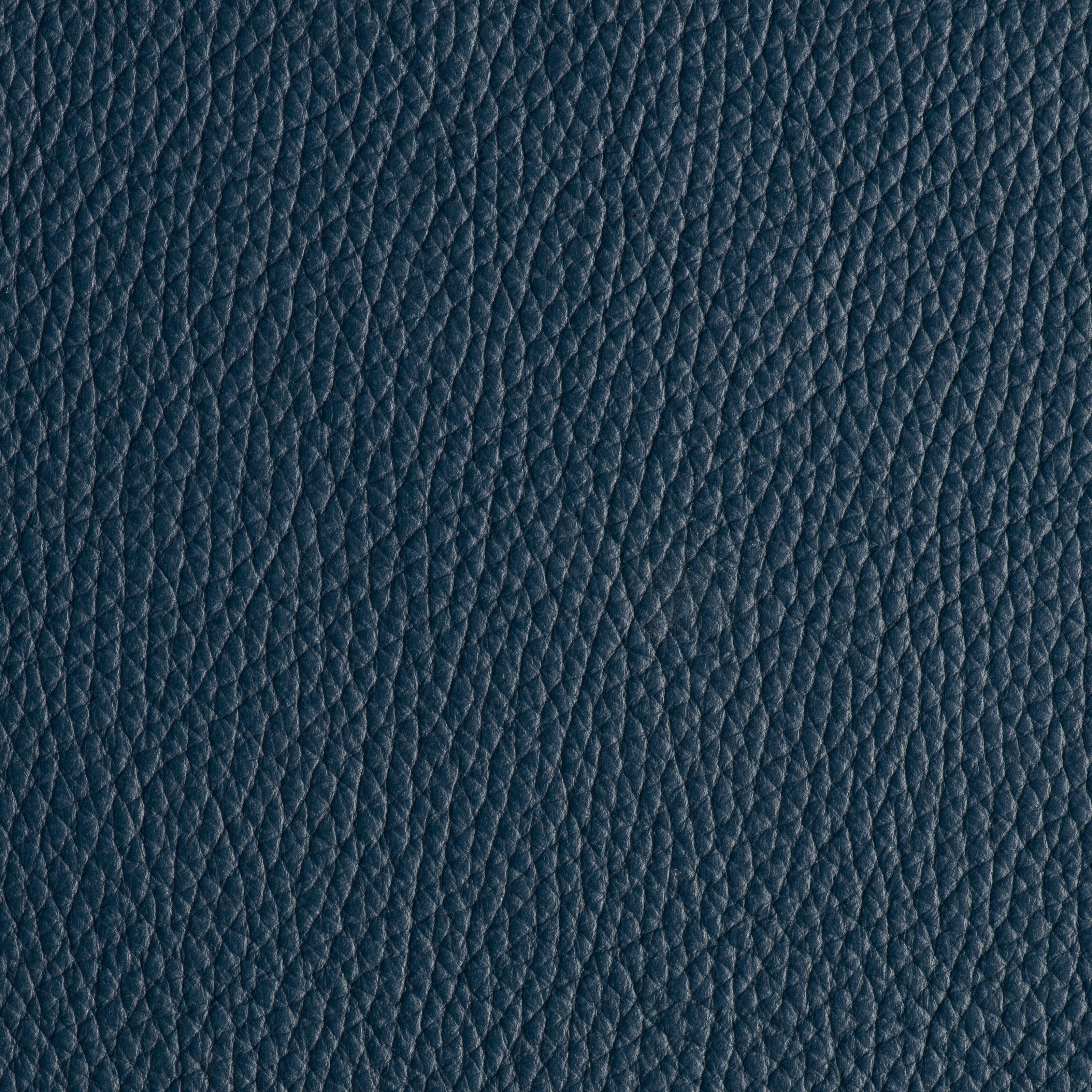 LIKE NO UDDER - RAINSTORM