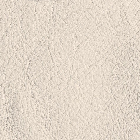 IN THE MOO'D - COTTON