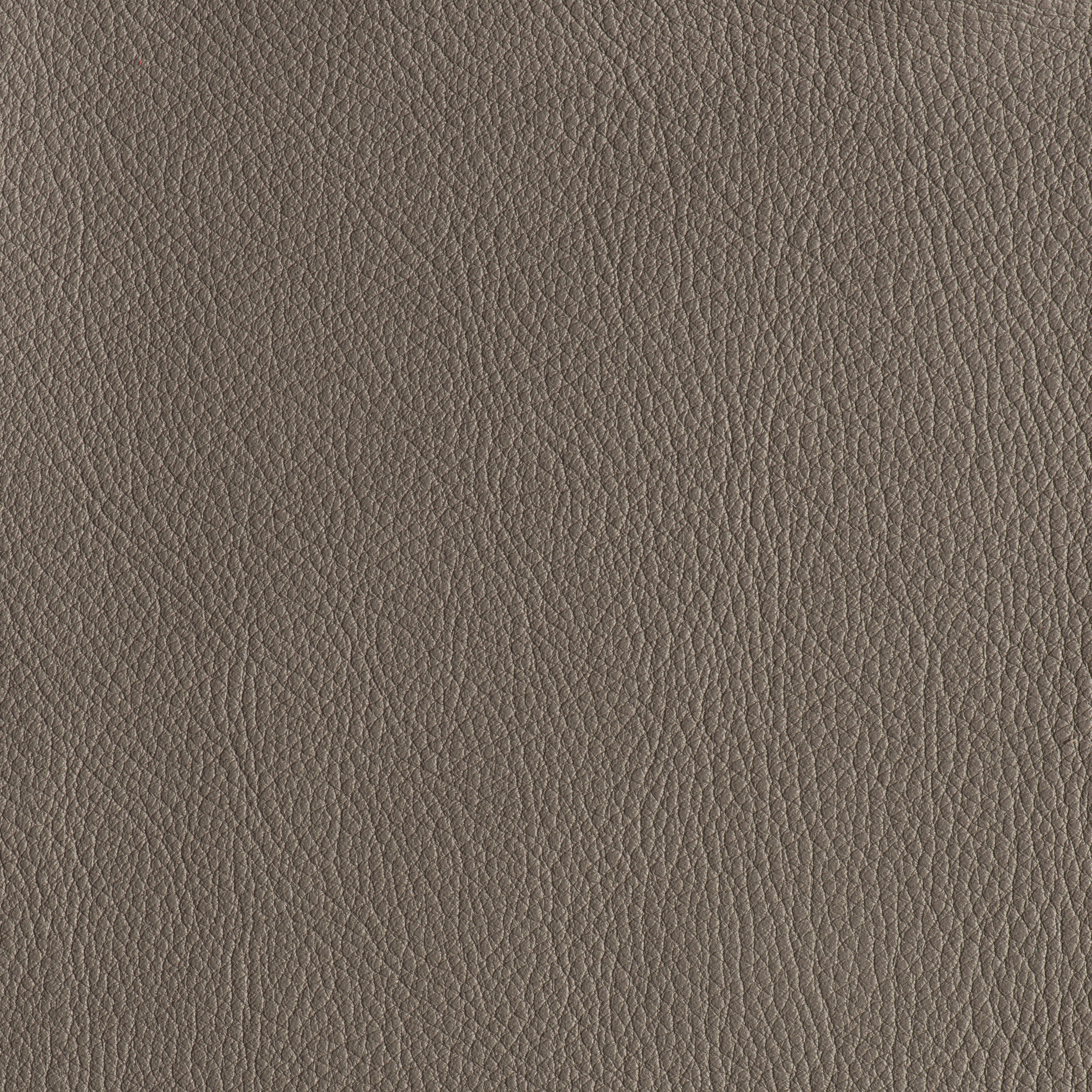 IN THE MOO'D - SUBWAY