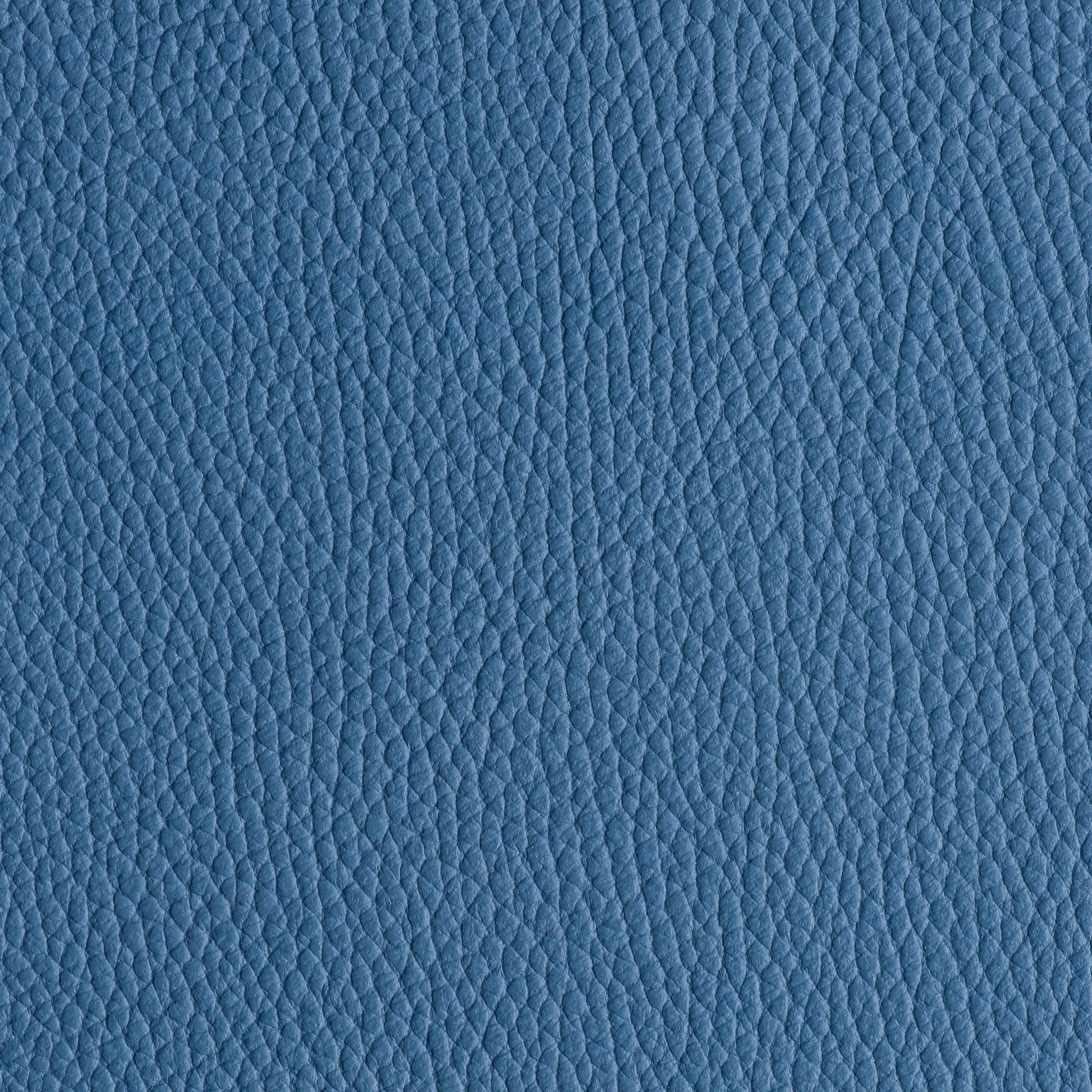 LIKE NO UDDER - BLUE JAY