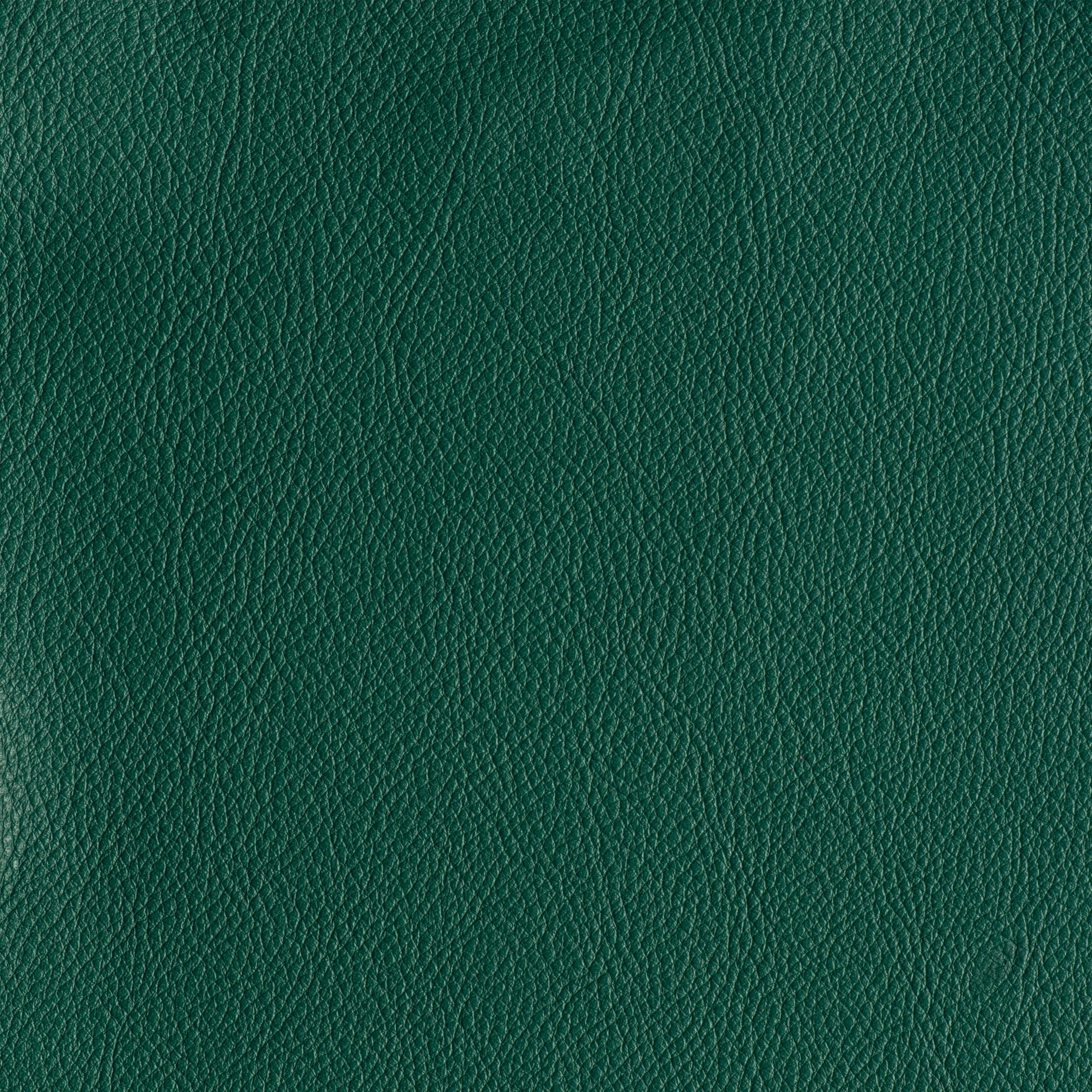 IN THE MOO'D - ENCHANTED FOREST