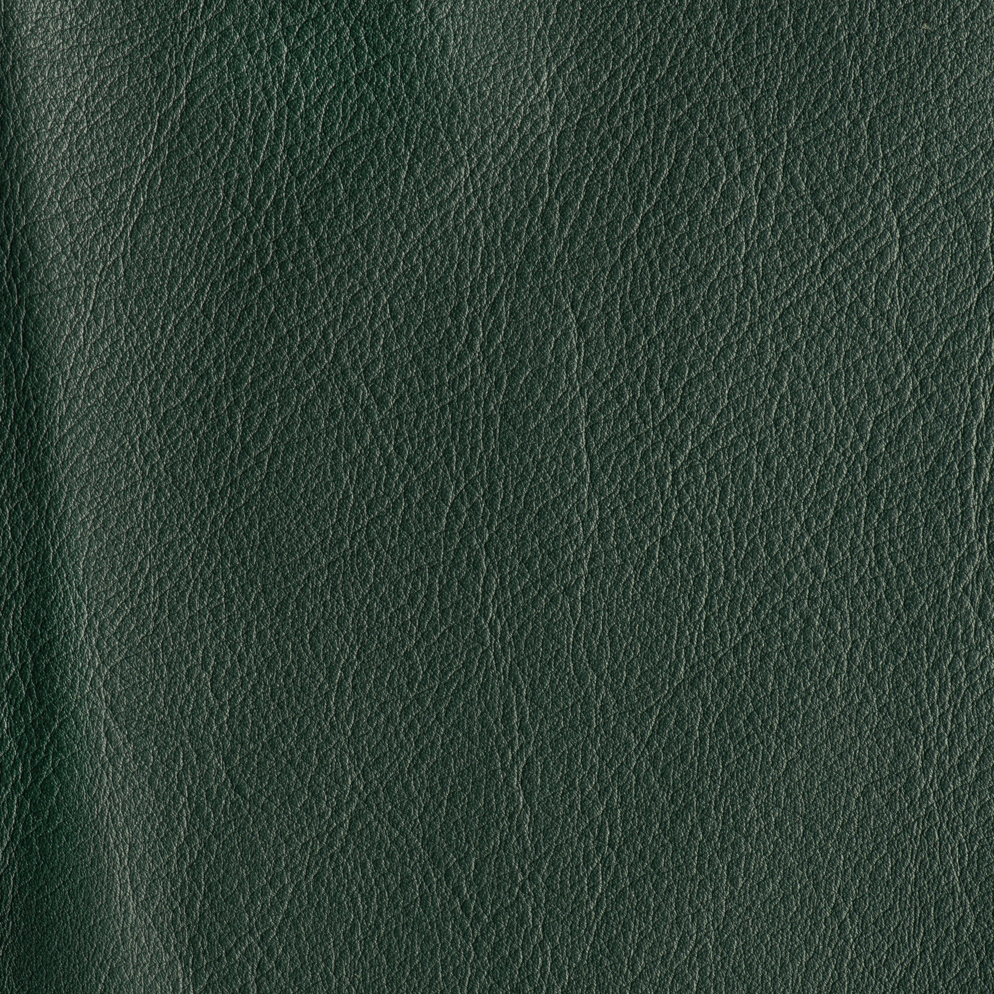 IN THE MOO'D - TURTLE