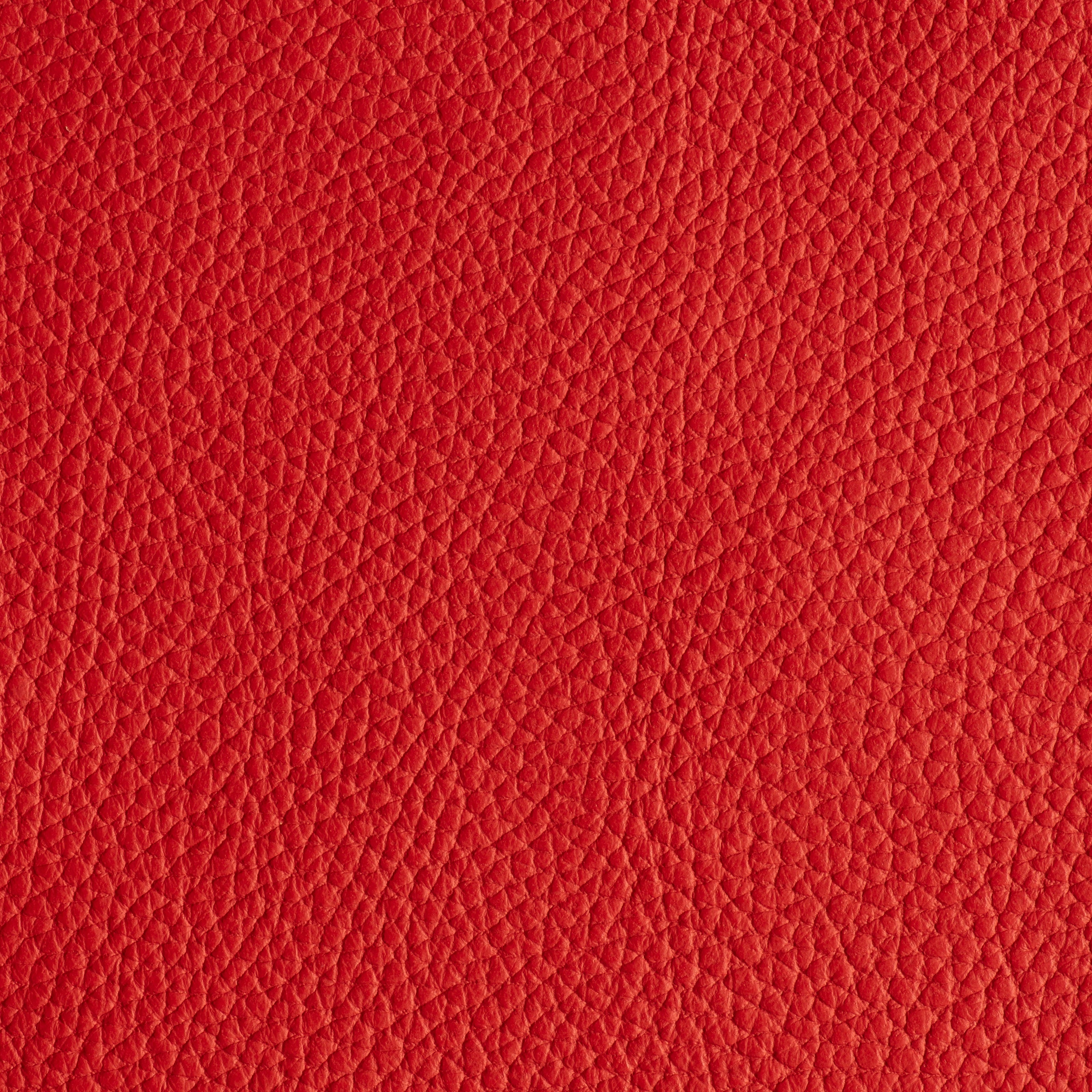 LIKE NO UDDER - ELECTRIC