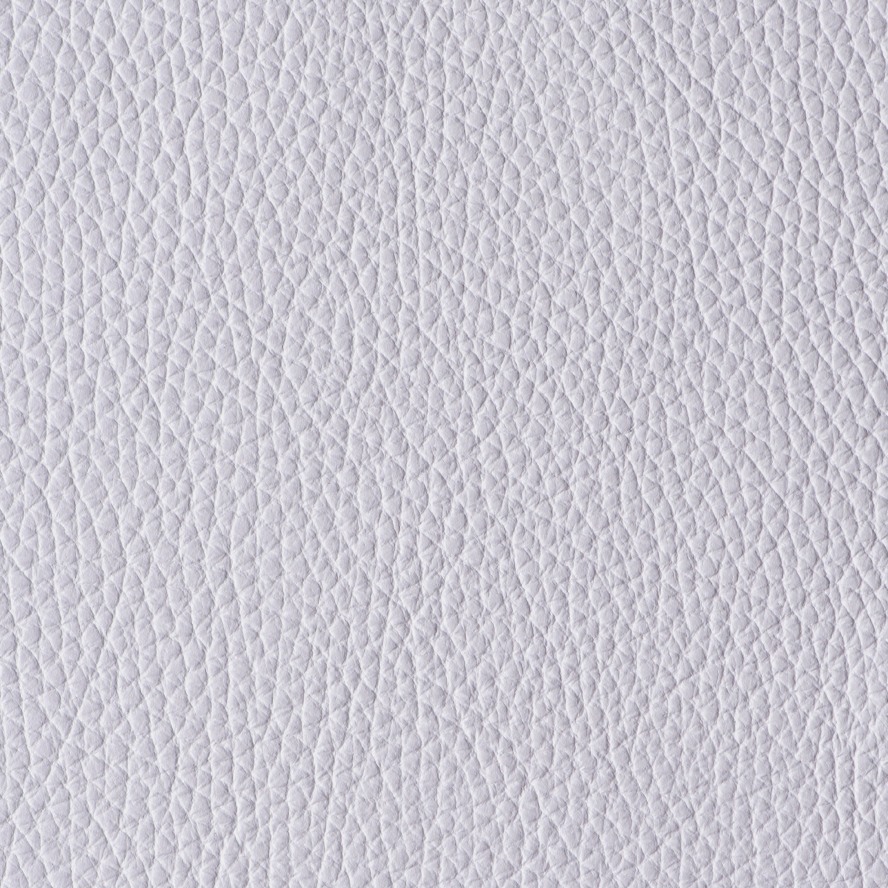 LIKE NO UDDER - REFLECTION