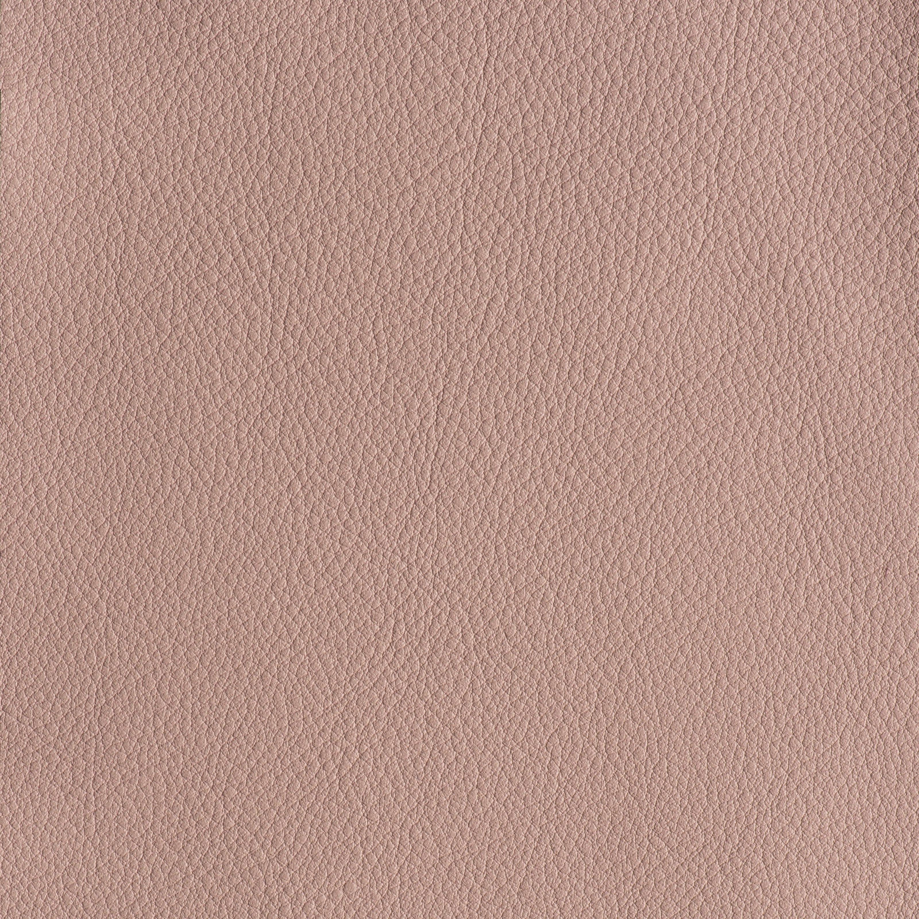 IN THE MOO'D - CHARM