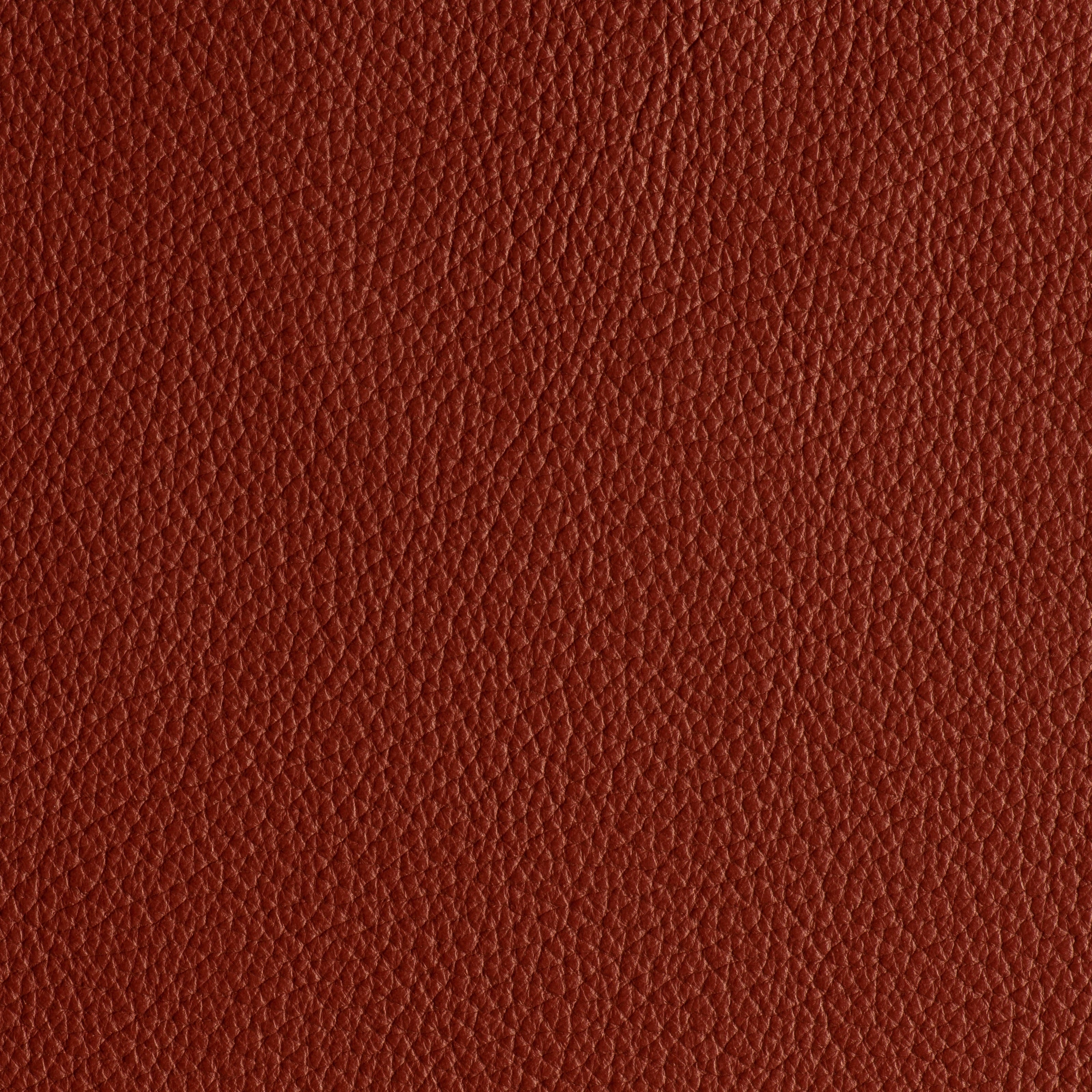 LIKE NO UDDER - EMBER