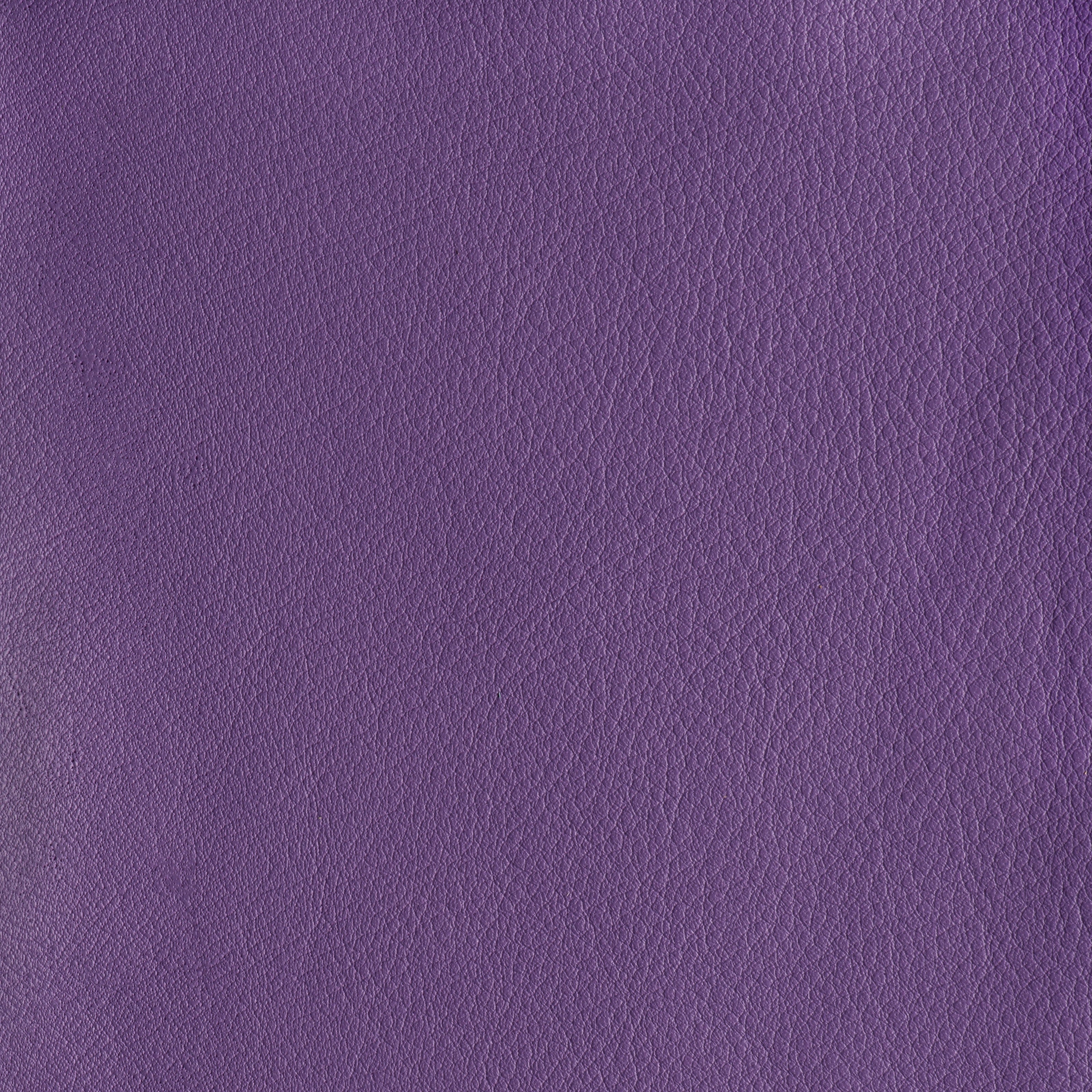 IN THE MOO'D - ROYALTY