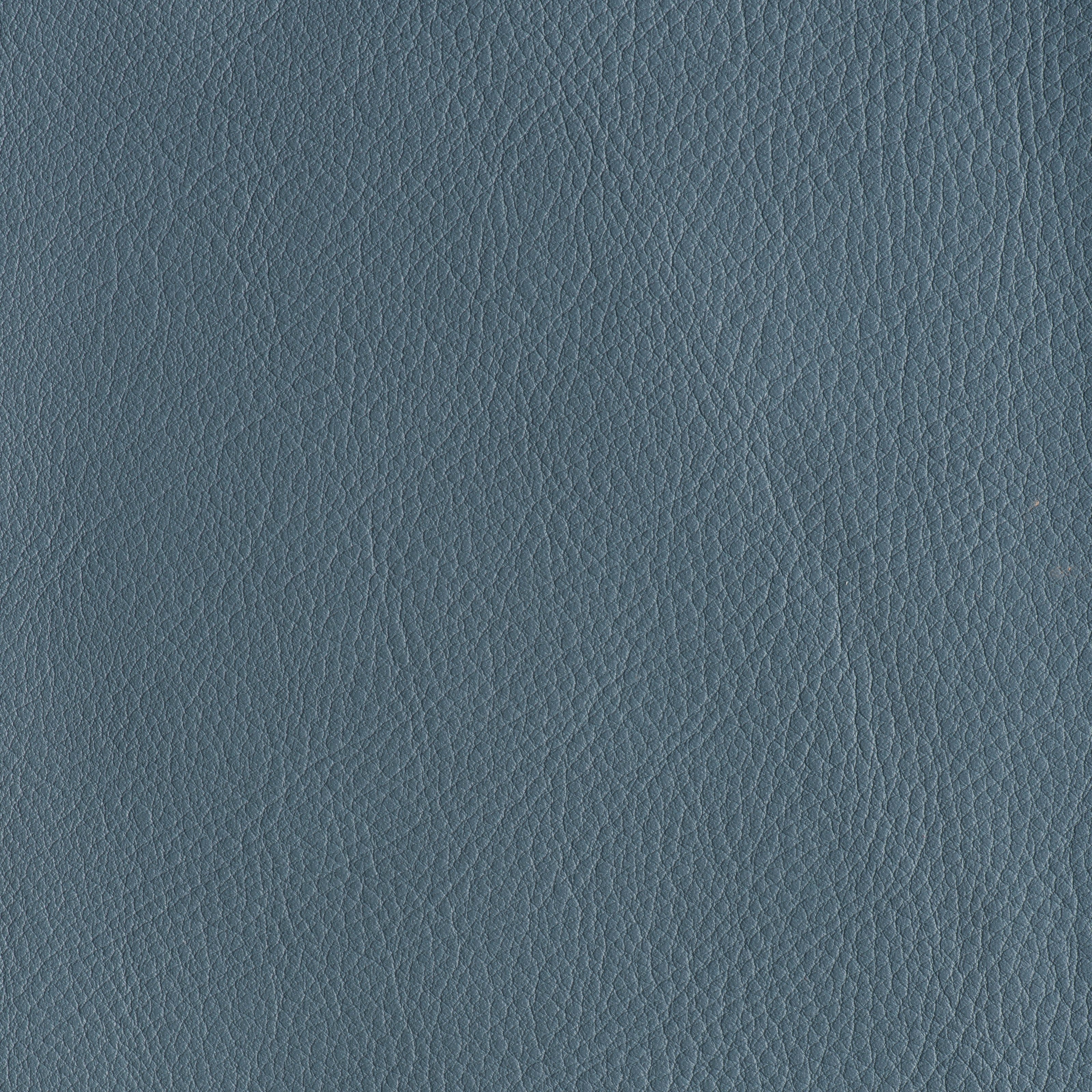 IN THE MOO'D - PORPOISE