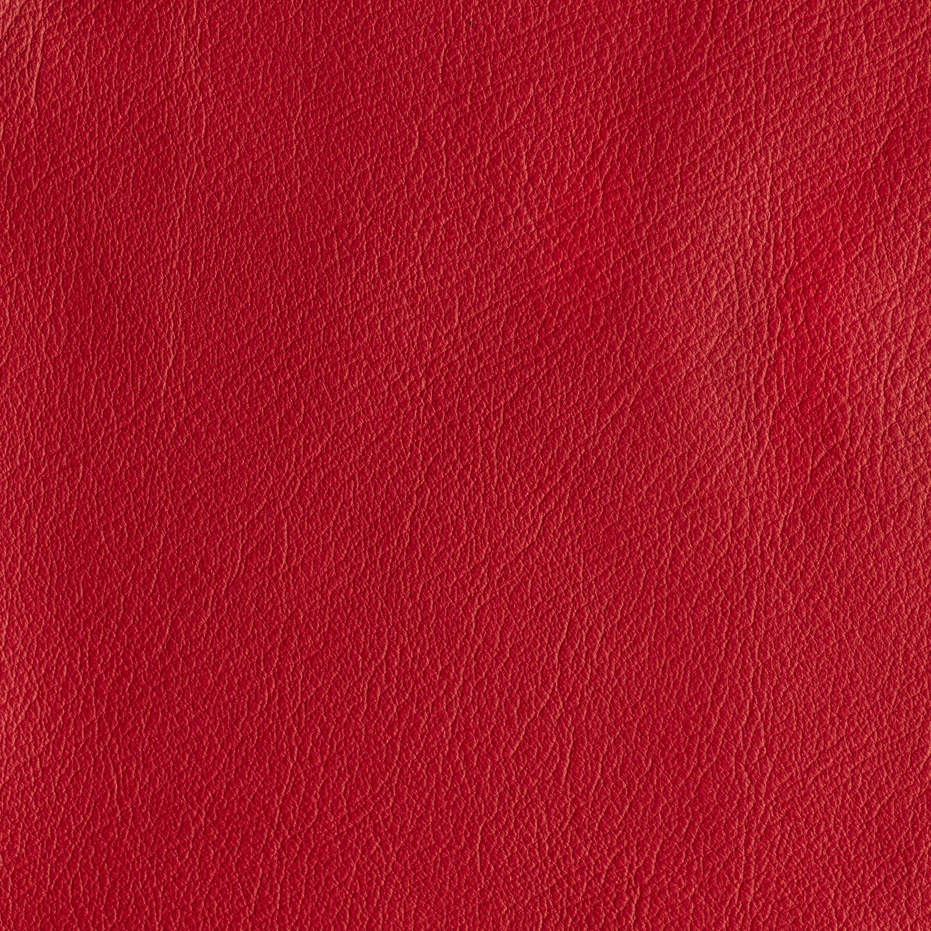 IN THE MOO'D - REVENGE