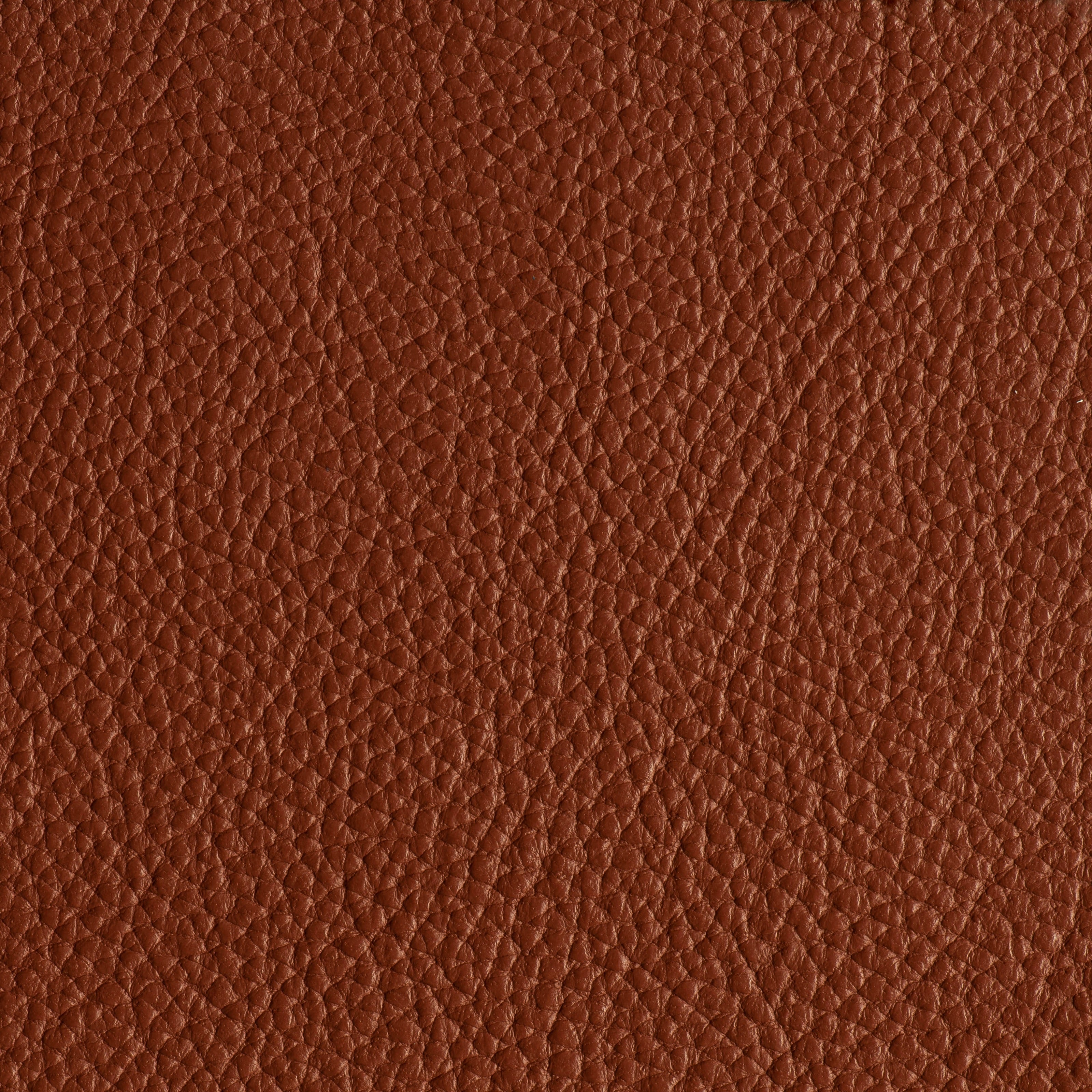 LIKE NO UDDER - ACORN