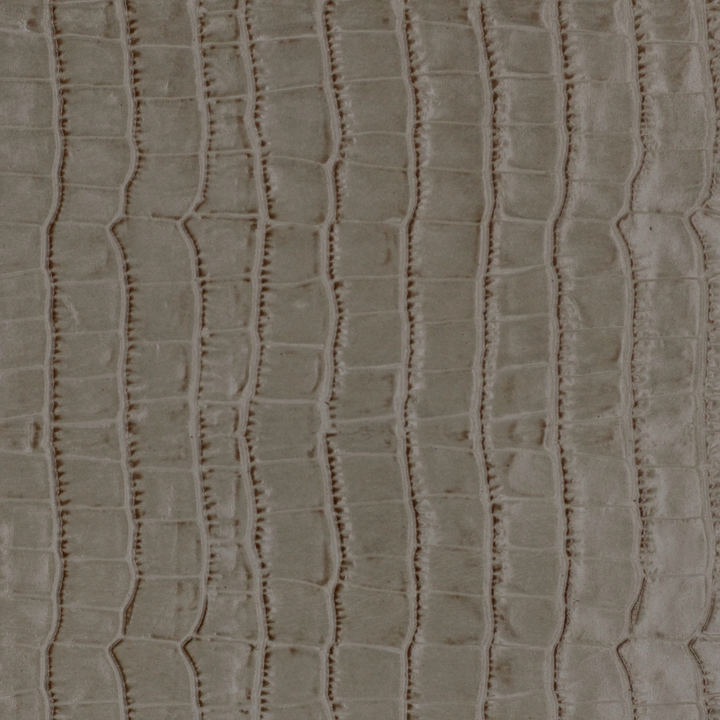 Herd the News - Rumor