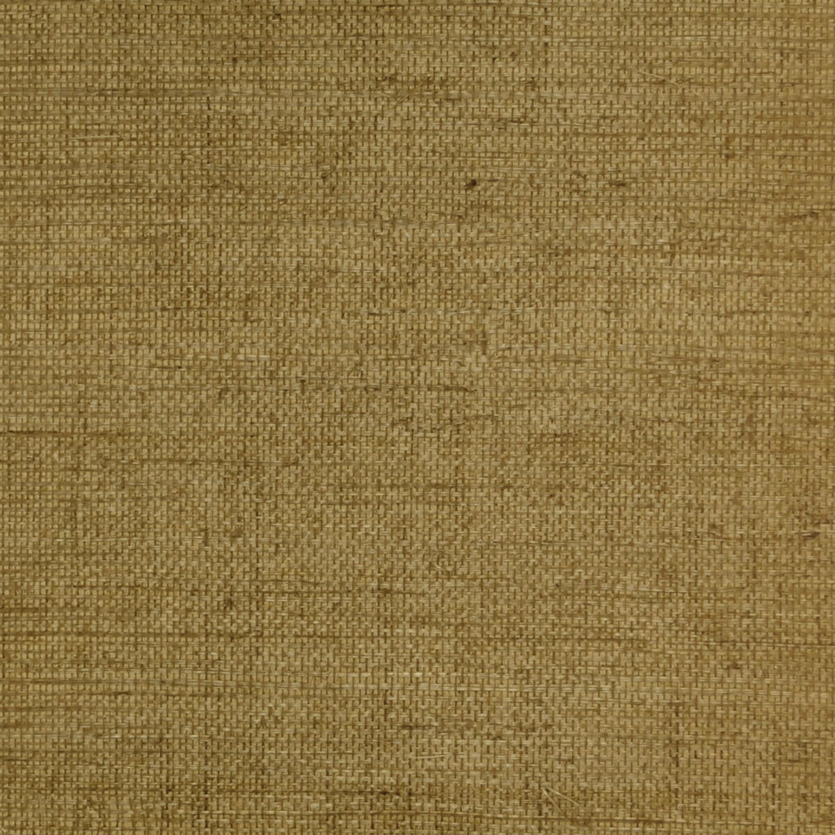 Sisal - Khaki  Nc07
